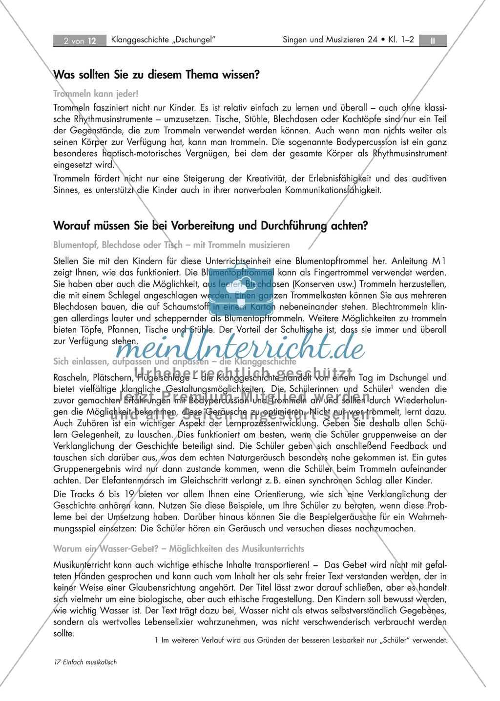 Vertonung einer Dschungel-Geschichte Preview 2