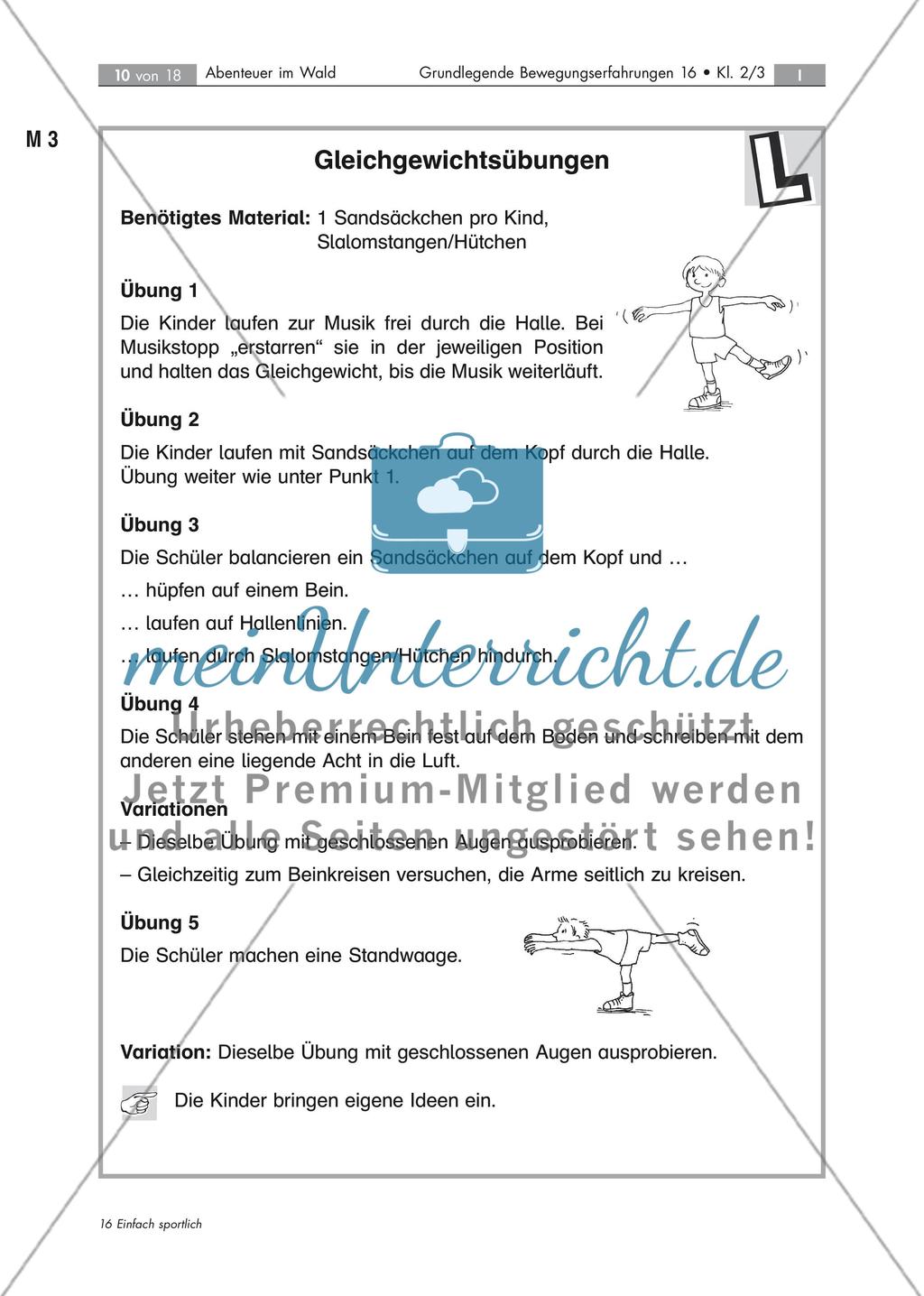 Stationstraining: Schulung des Gleichgewichts Preview 10