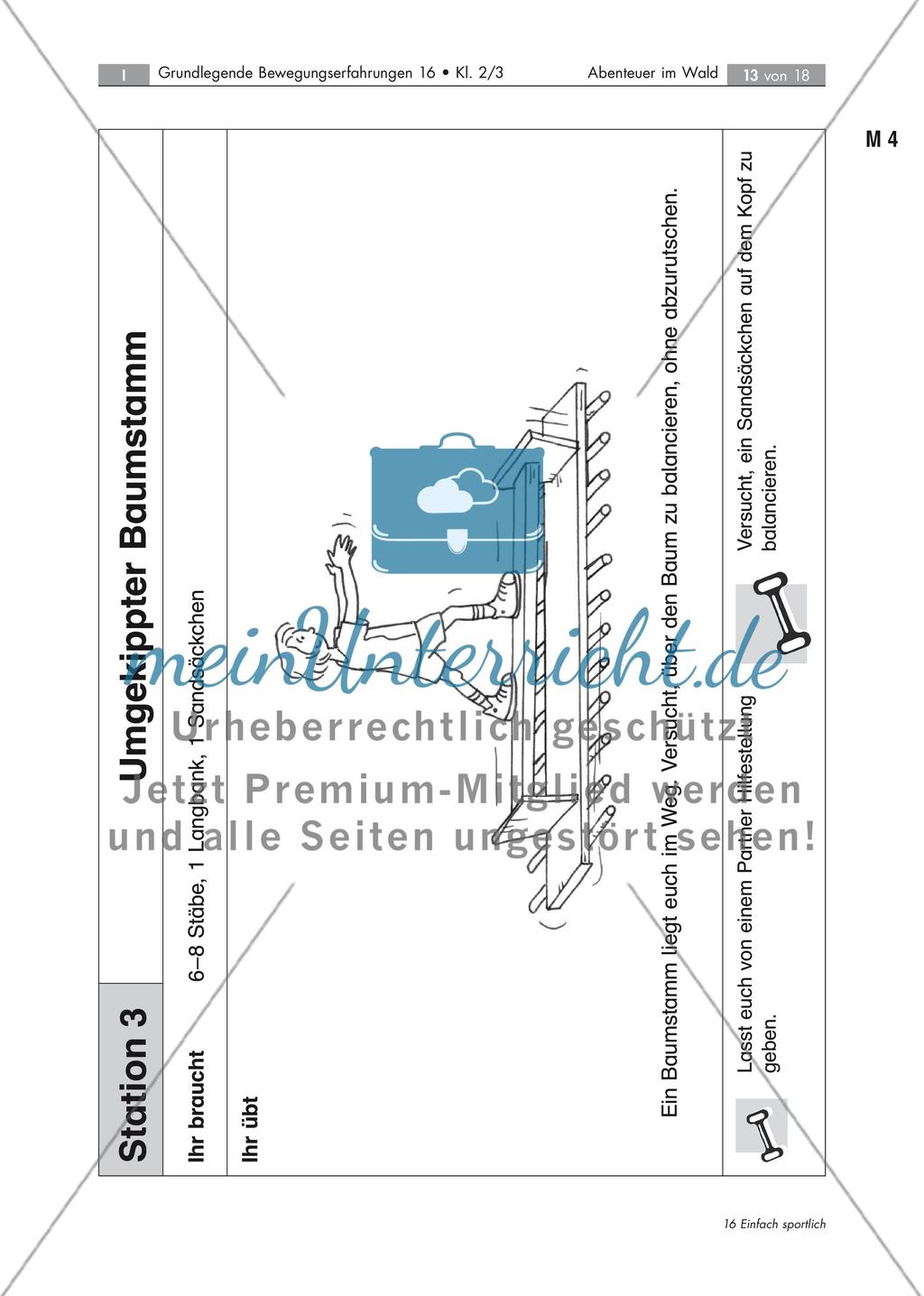 Stationstraining: Schulung des Gleichgewichts Preview 13