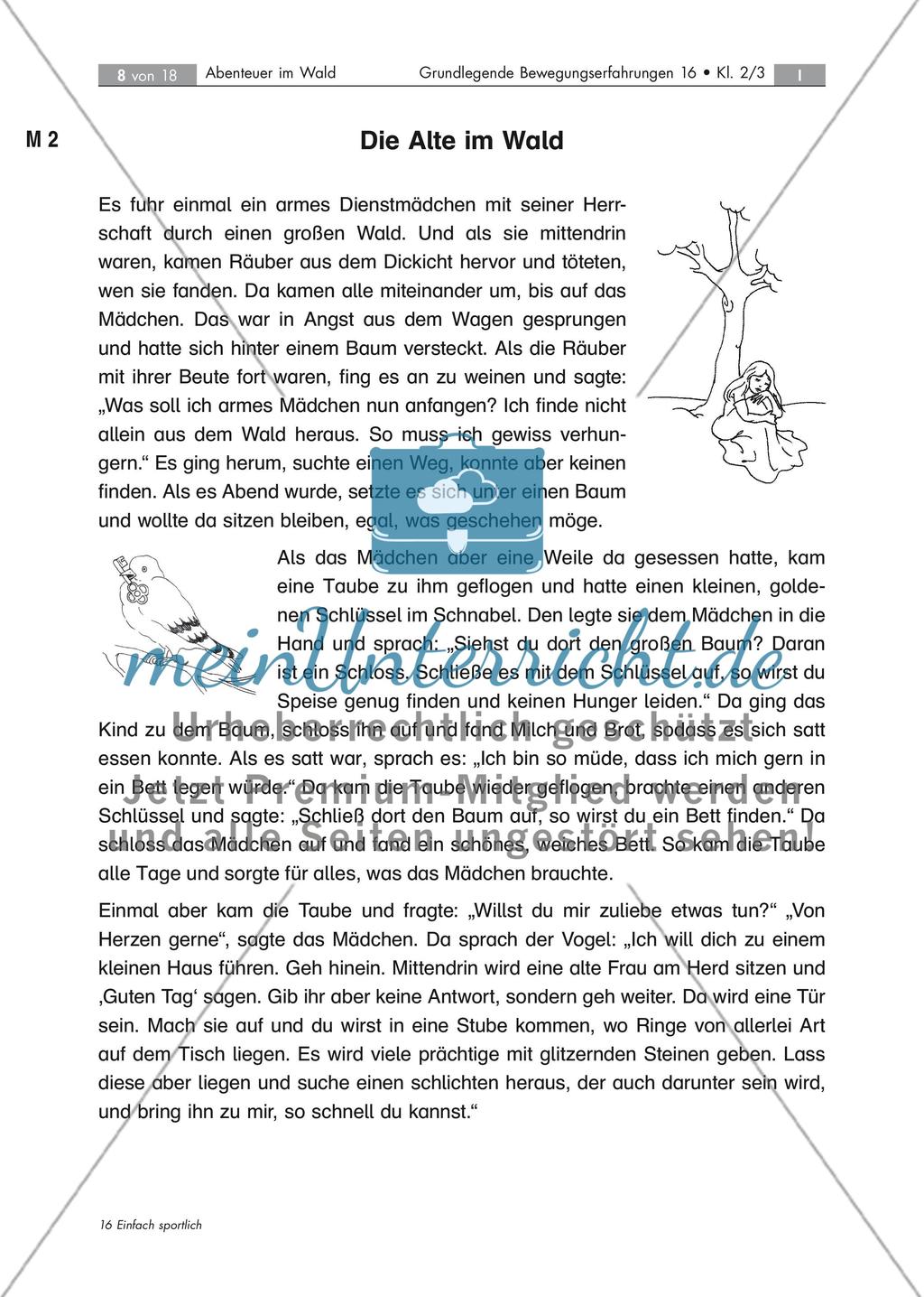 Stationstraining: Schulung des Gleichgewichts Preview 8