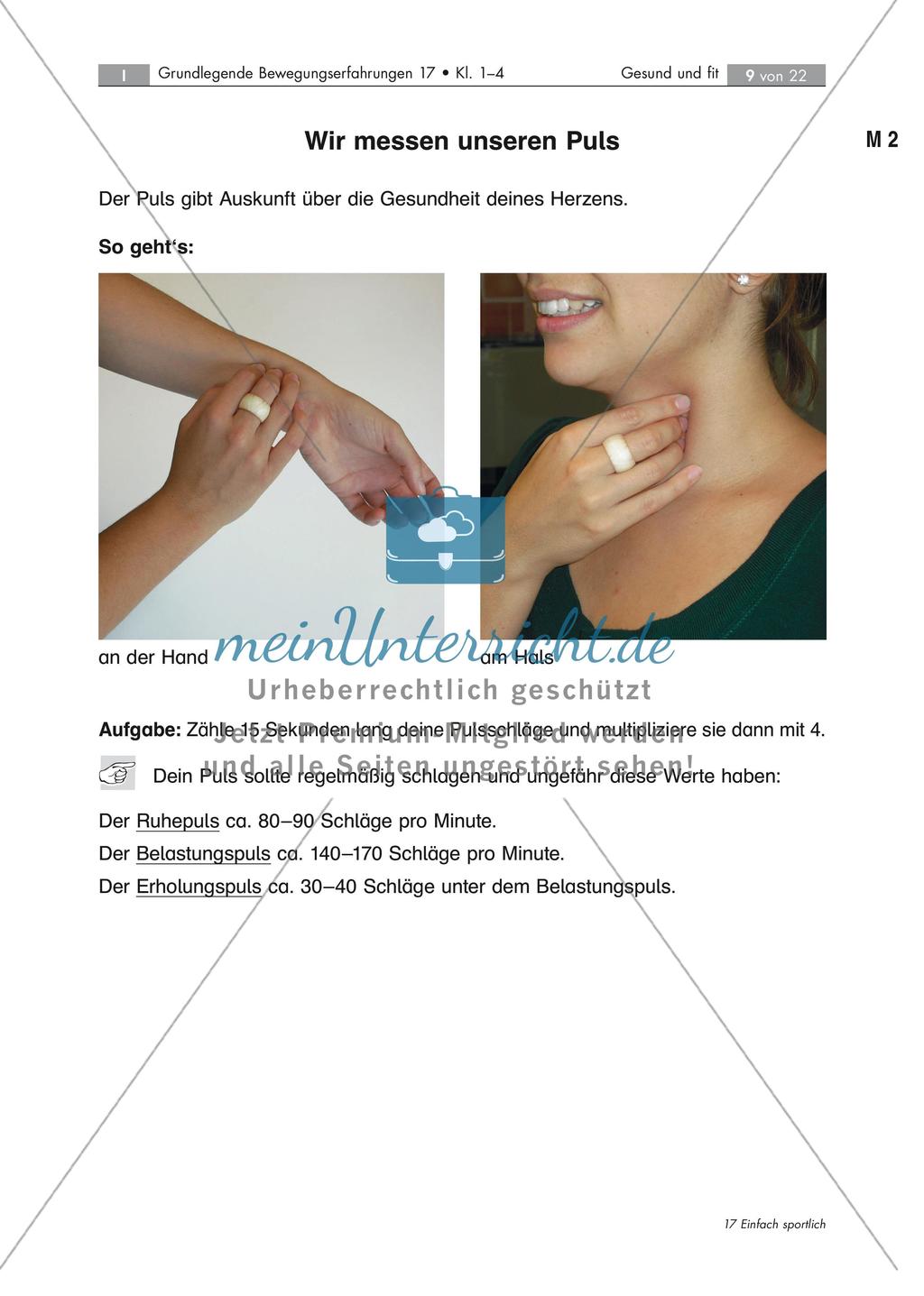 Ausdauerndes Laufen Preview 3