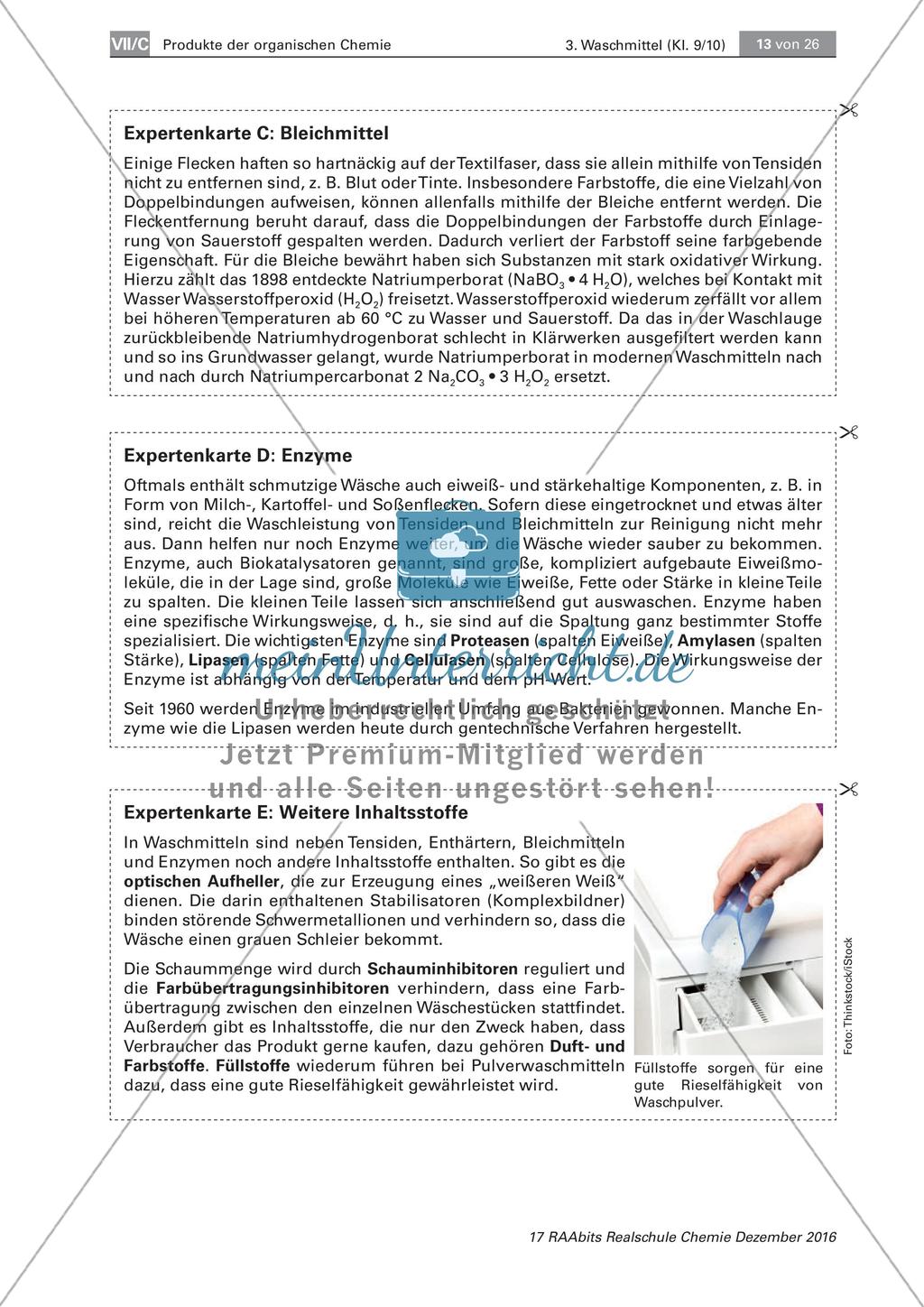 Inhaltsstoffe von Waschmitteln: Gruppenpuzzle Preview 2
