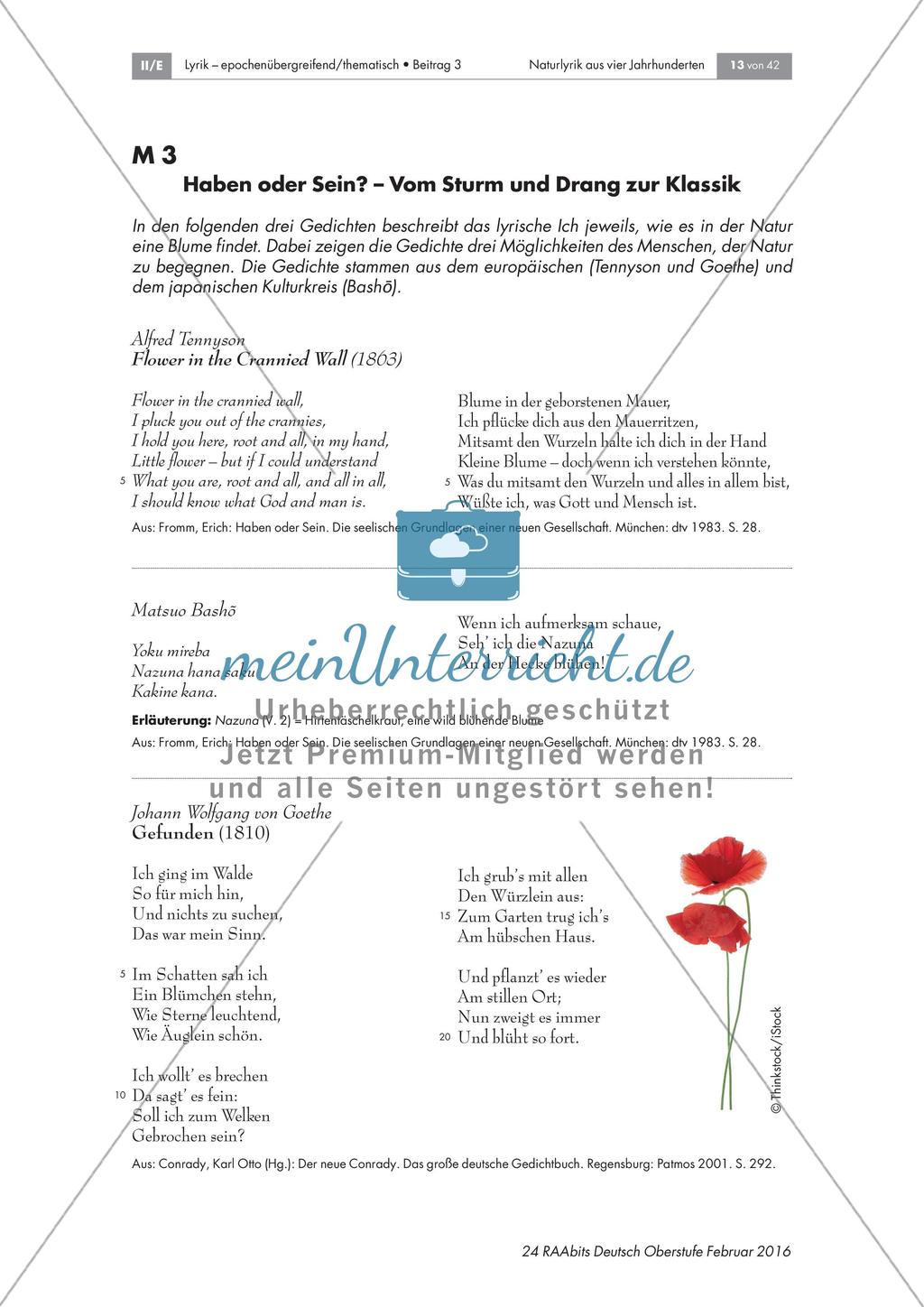 Naturlyrik: Begegnung zwischen Mensch und Natur Preview 6
