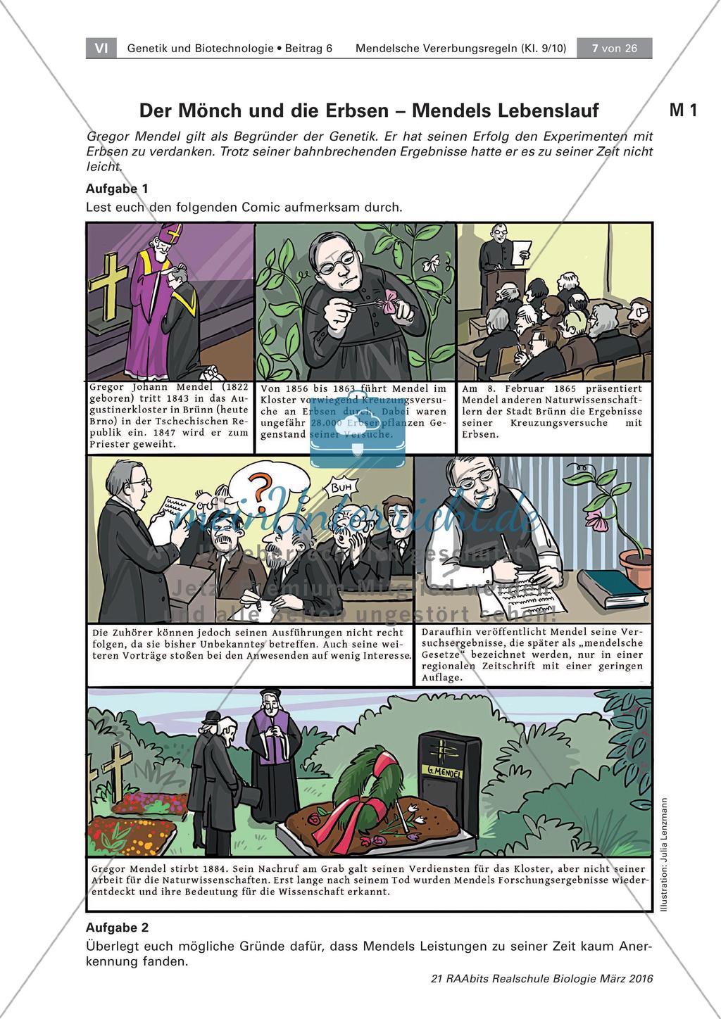 Die Person Gregor Mendel Preview 1