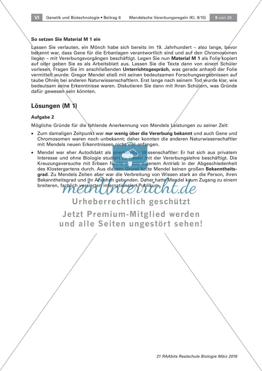 Die Person Gregor Mendel Preview 3