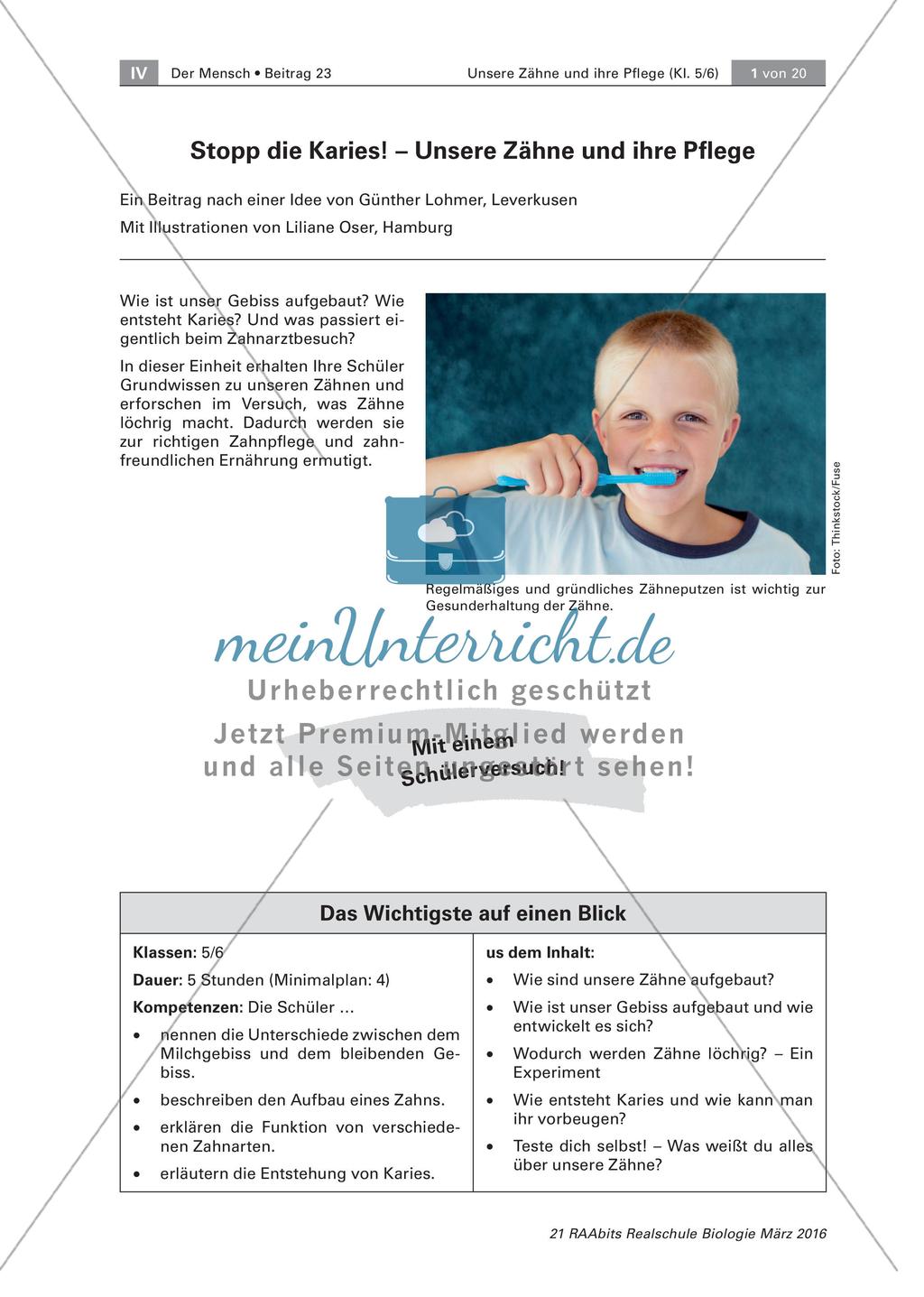 Einführung Preview 1