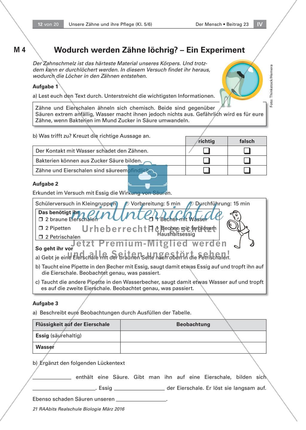 Zähne und ihre Pflege Preview 1