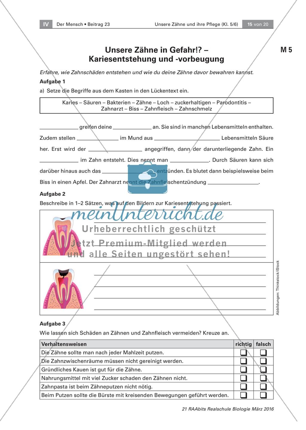 Zähne und ihre Pflege Preview 4