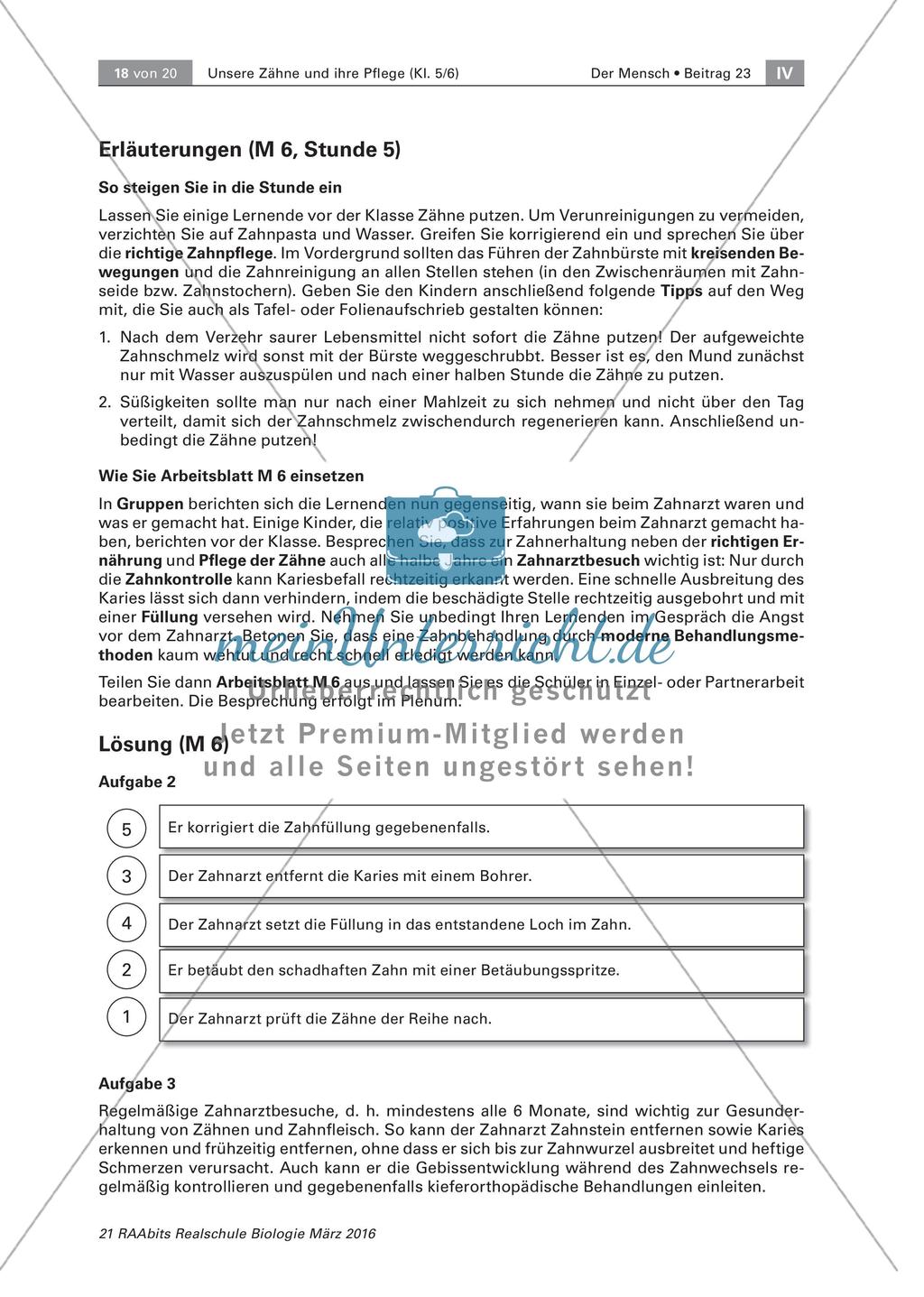 Zähne und ihre Pflege Preview 7