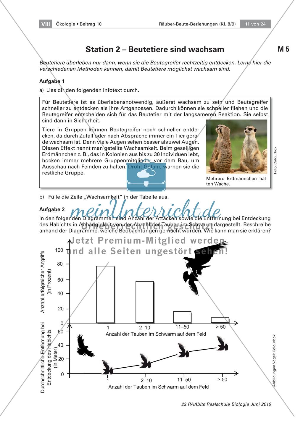 Strategien der Beutetiere und Jäger Preview 3
