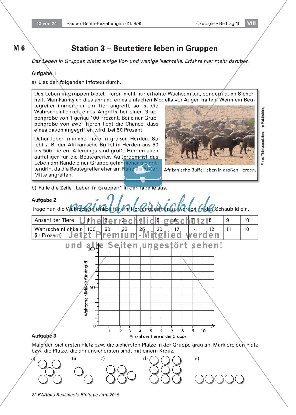 Strategien der Beutetiere und Jäger Preview 4