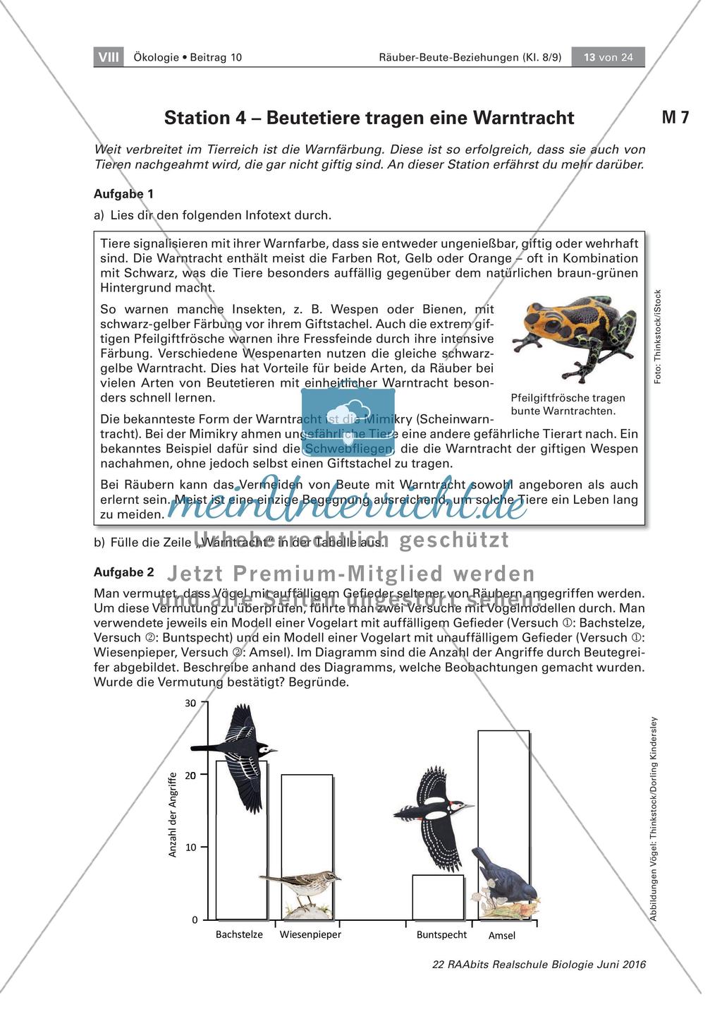 Strategien der Beutetiere und Jäger Preview 5