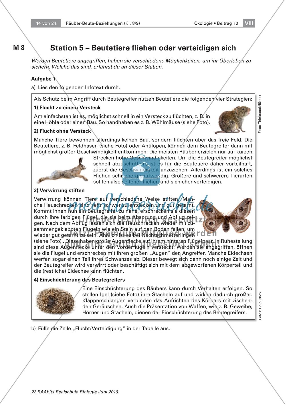 Strategien der Beutetiere und Jäger Preview 6