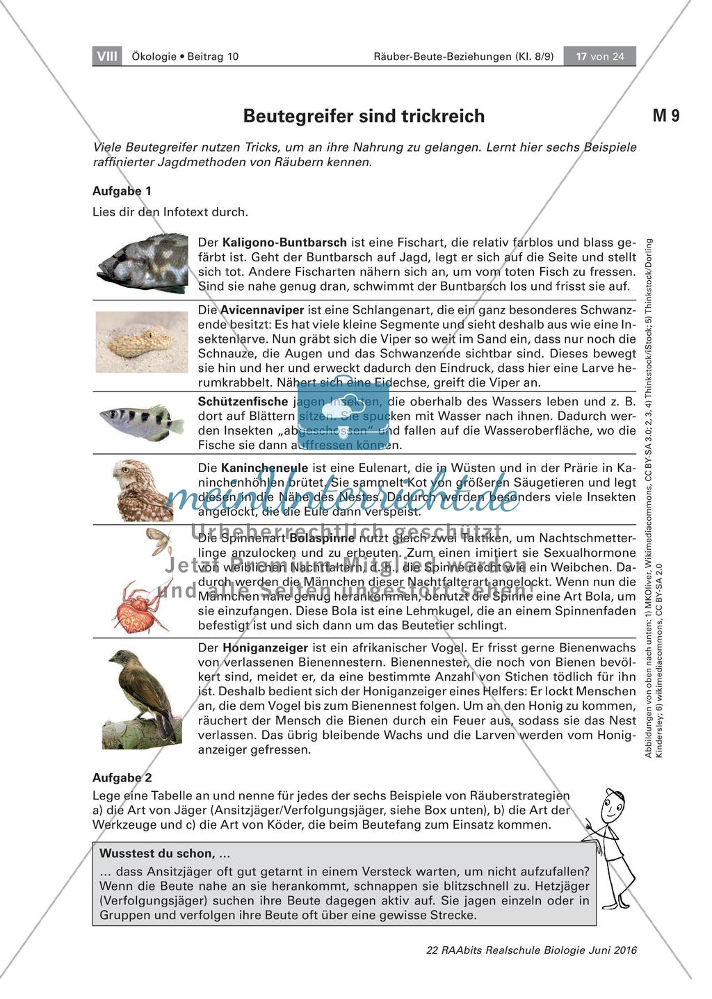 Strategien der Beutetiere und Jäger Preview 9