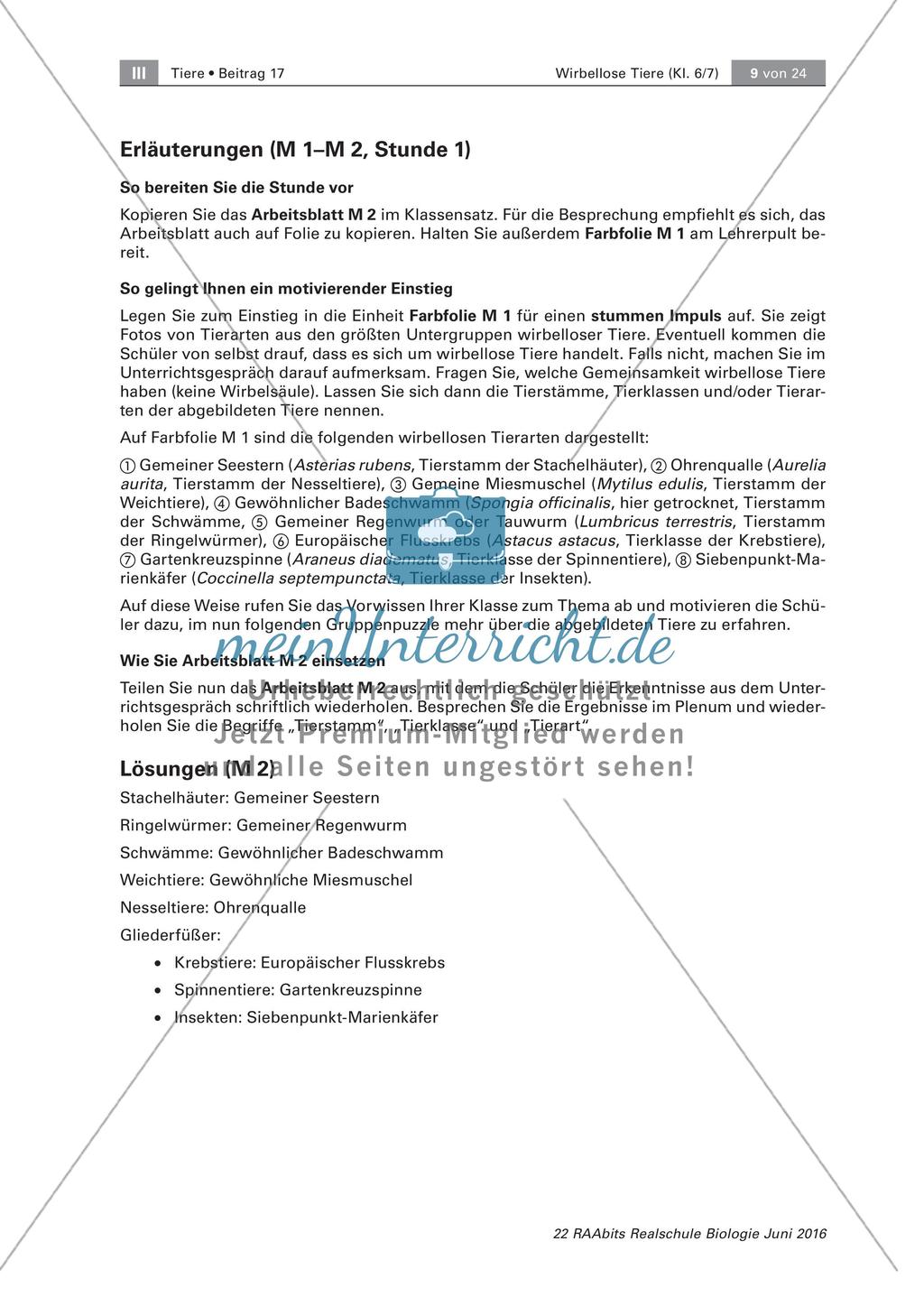 Klassifikation wirbelloser Tiere Preview 3