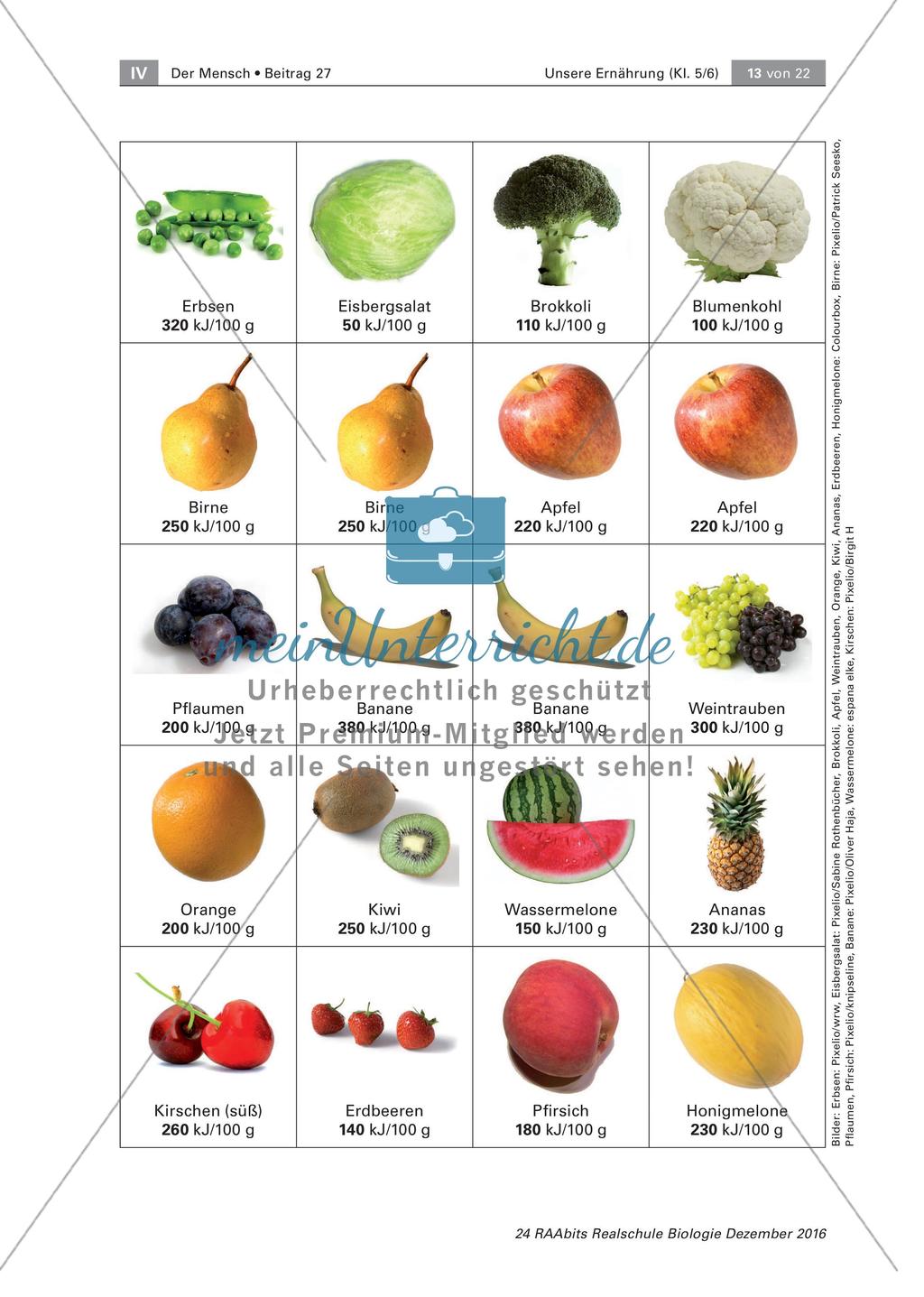 Lernspiel: unsere Ernährung Preview 13