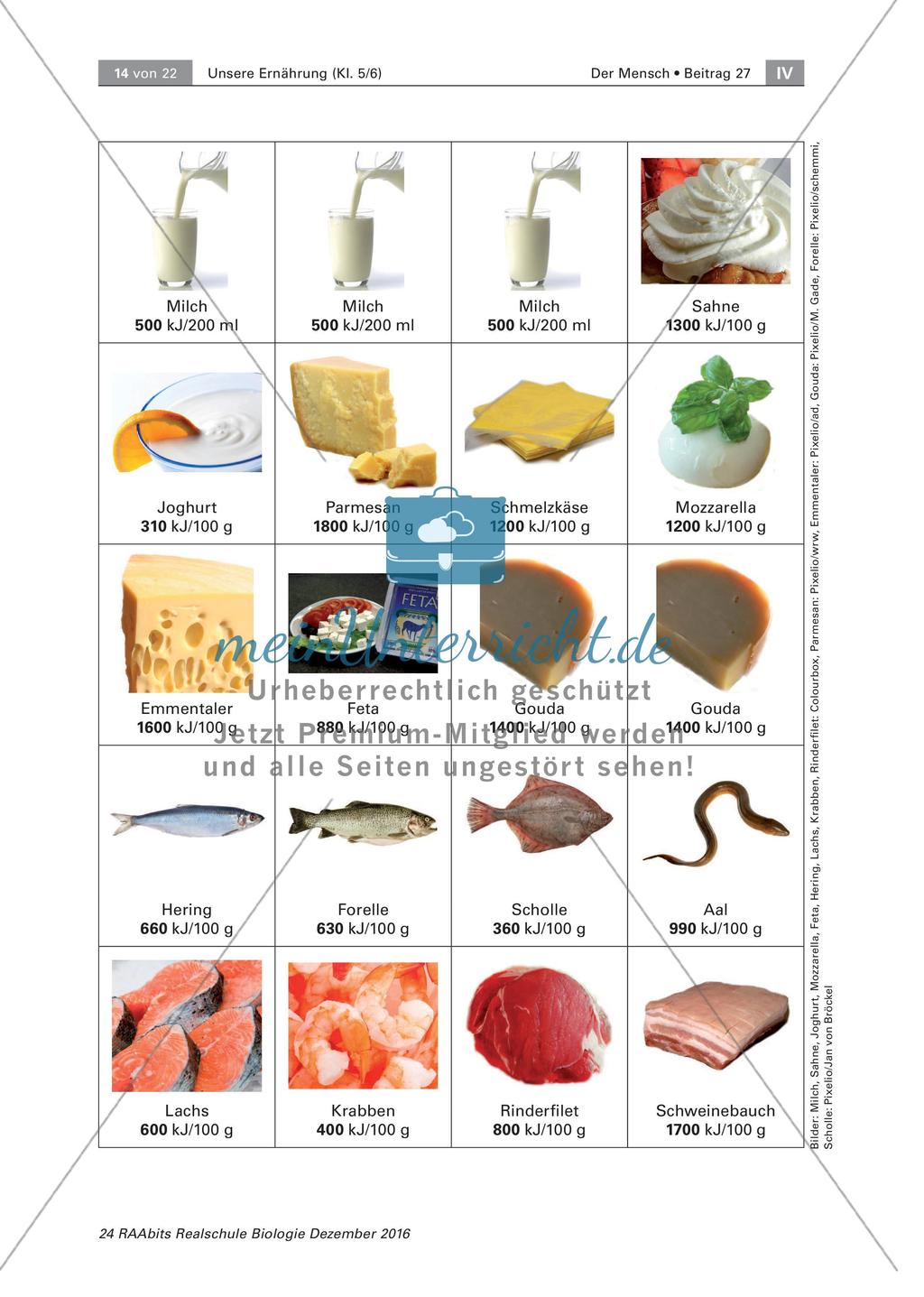 Lernspiel: unsere Ernährung Preview 14