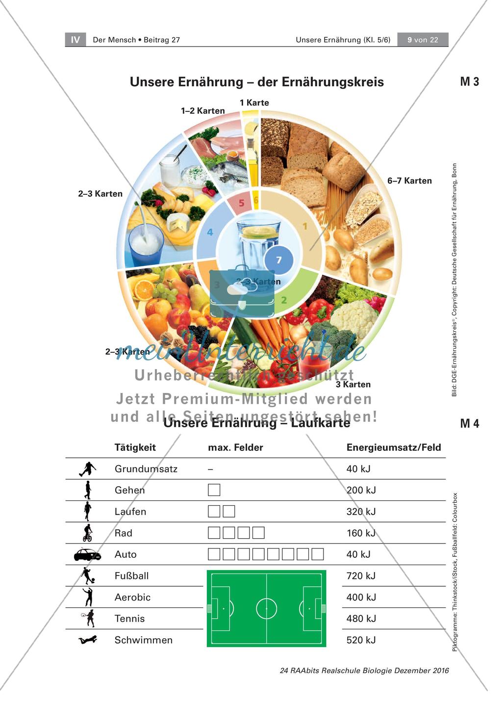Lernspiel: unsere Ernährung Preview 9