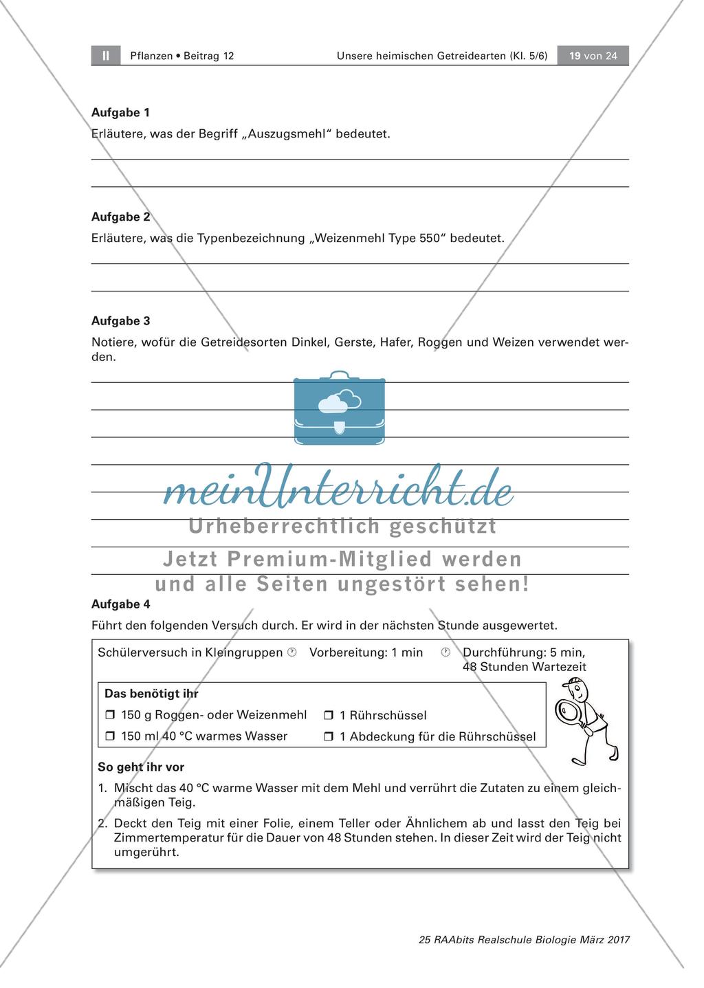 Abläufe in einer Getreidemühle Preview 2