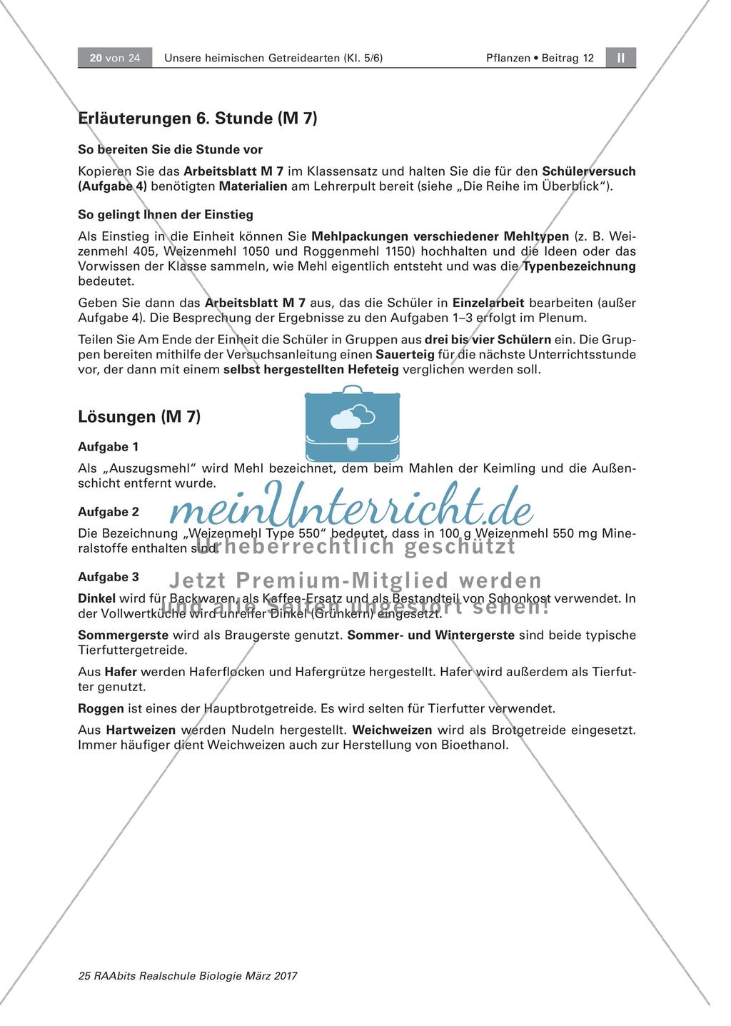 Abläufe in einer Getreidemühle Preview 3