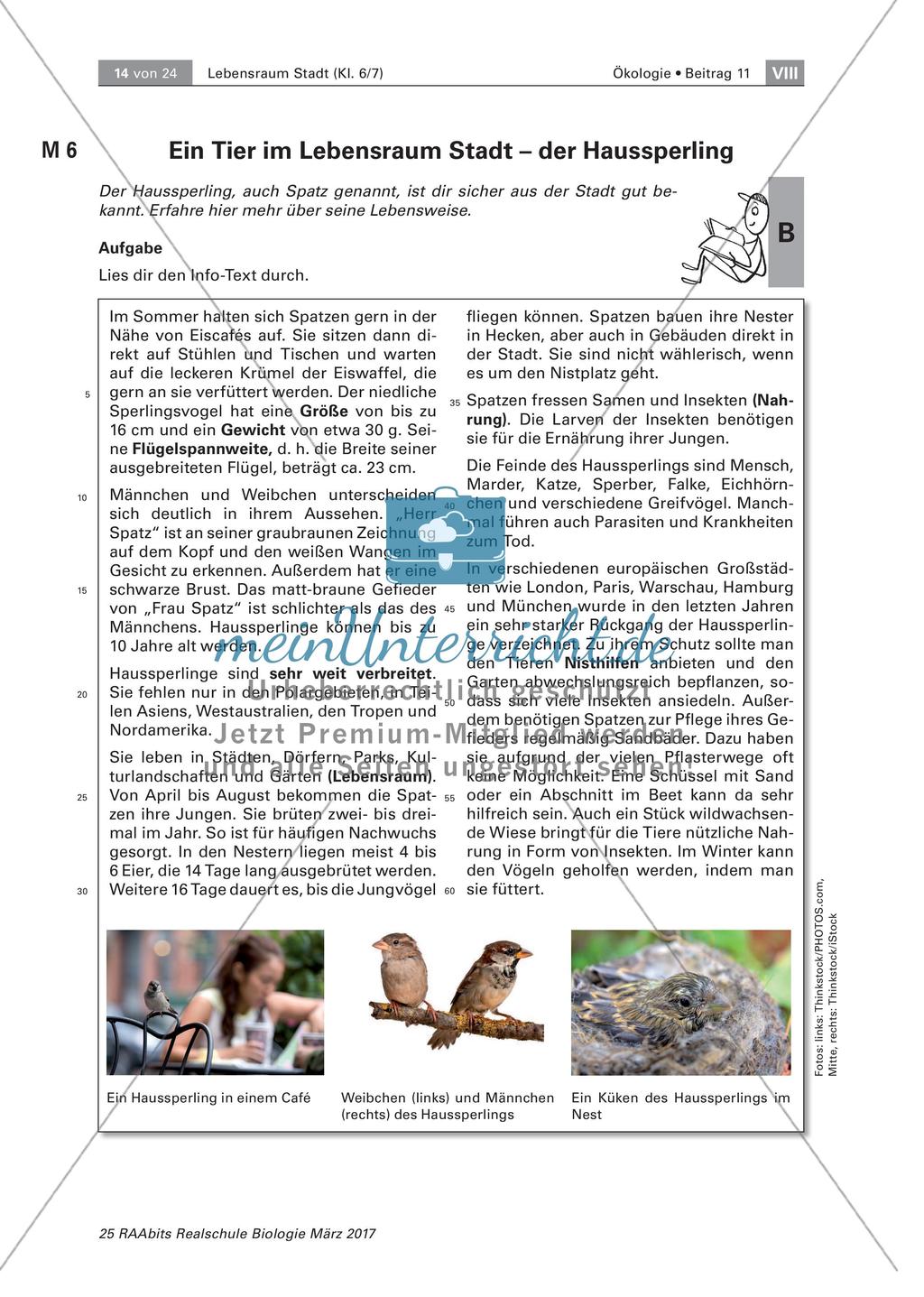Tiere und Pflanzen im Lebensraum Stadt Preview 3