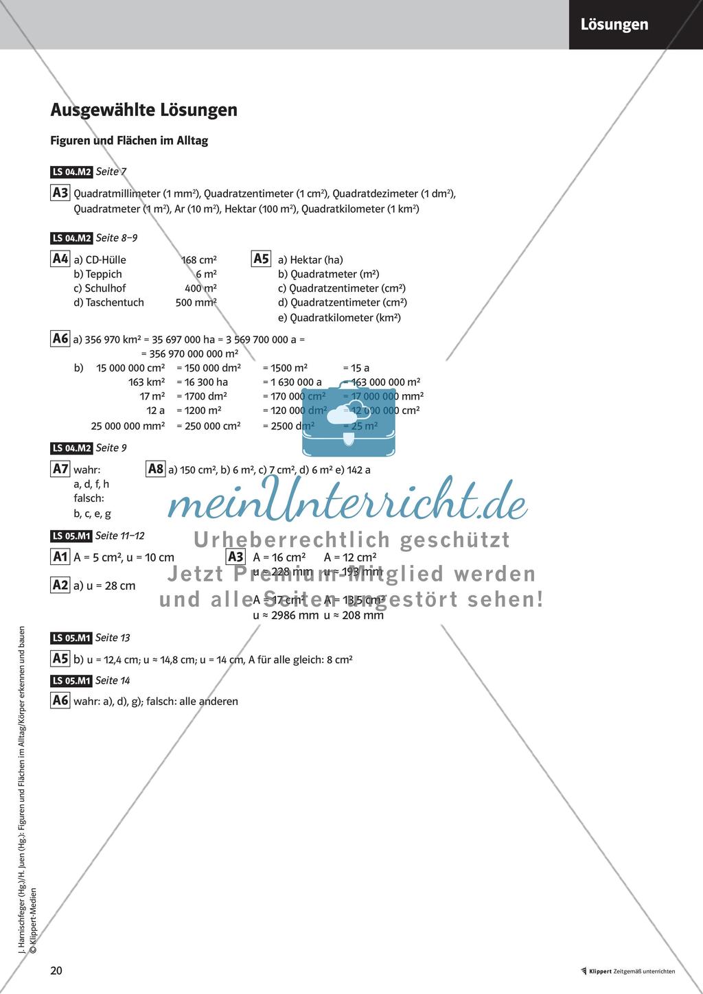 Flächeninhalt und Umfang Preview 22