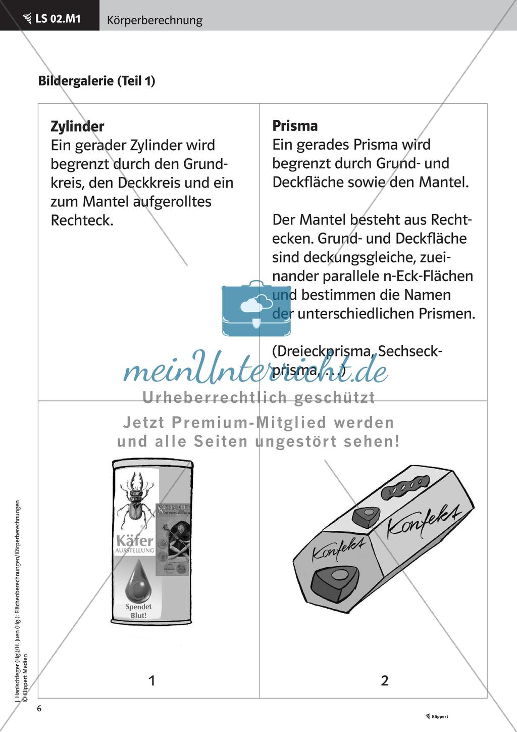 Gemeinsamkeiten und Unterschiede an Körpern Preview 8