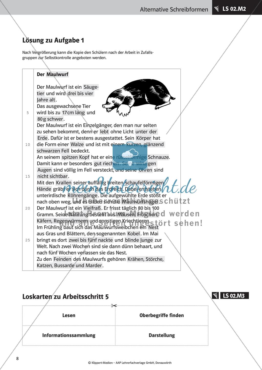 Verfassen von Steckbriefen und Spickzetteln Preview 10