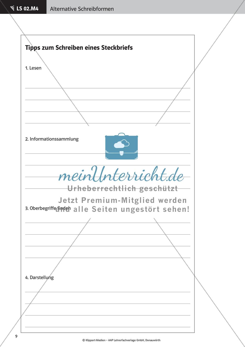 Verfassen von Steckbriefen und Spickzetteln Preview 11