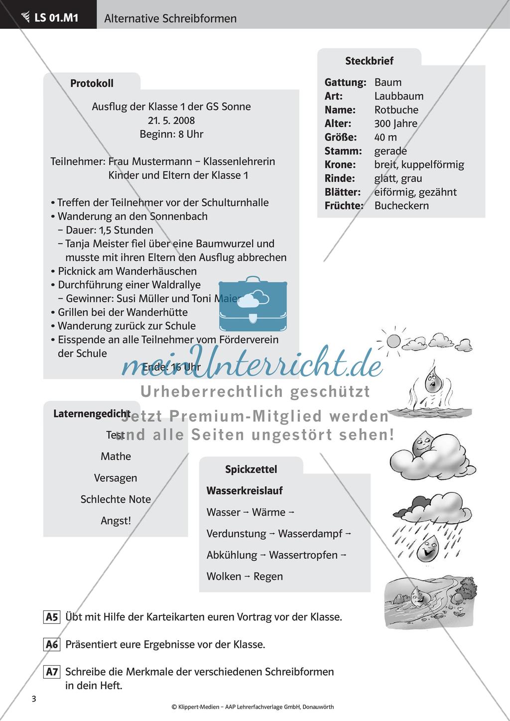 Verfassen von Steckbriefen und Spickzetteln Preview 5