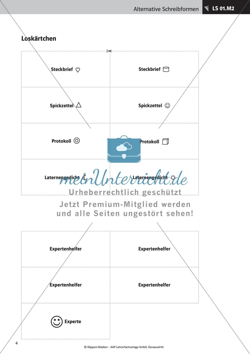 Verfassen von Steckbriefen und Spickzetteln Preview 6