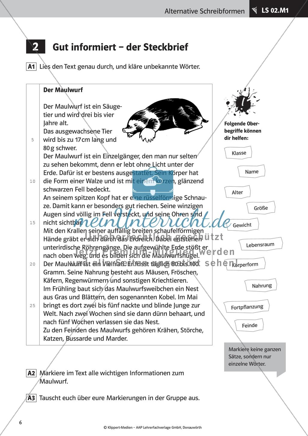 Verfassen von Steckbriefen und Spickzetteln Preview 8