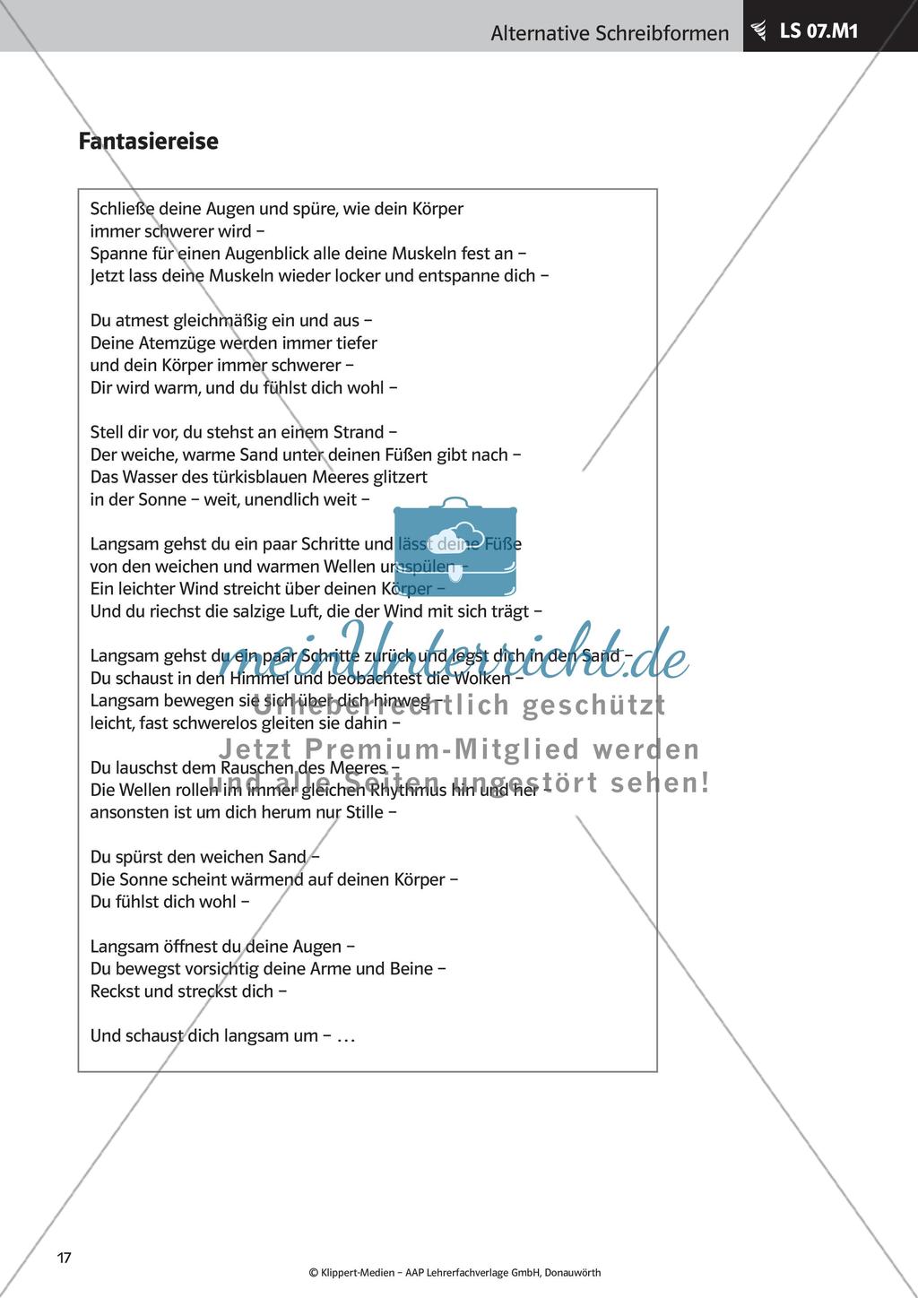 Verfassen von Texten: Protokoll, Plakat, Laternengedicht und Fantasiegeschichte Preview 19