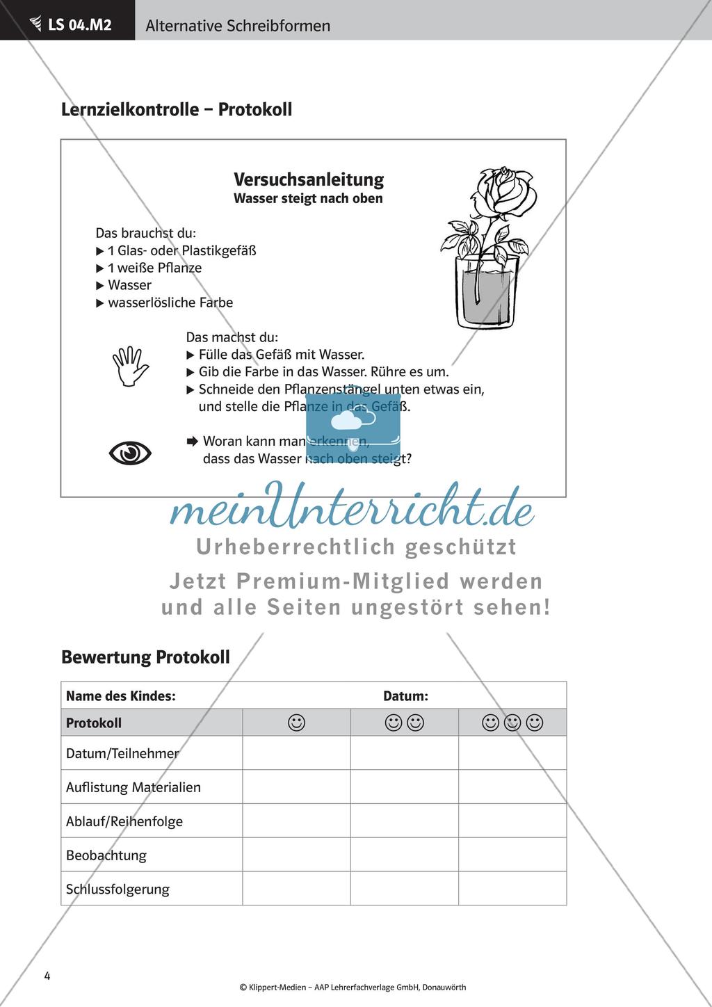 Verfassen von Texten: Protokoll, Plakat, Laternengedicht und Fantasiegeschichte Preview 6