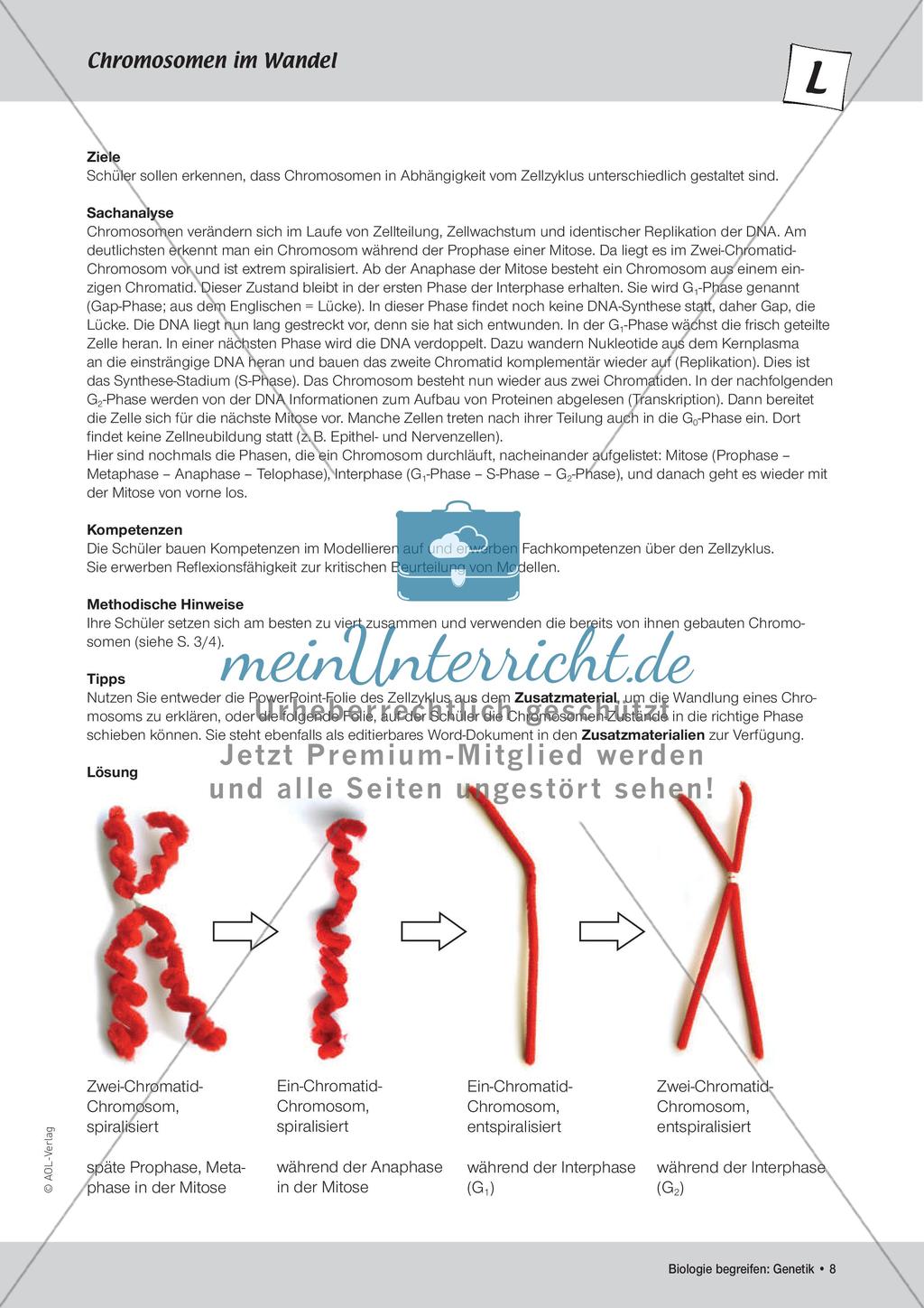 Genetik: Chromosomen Preview 10