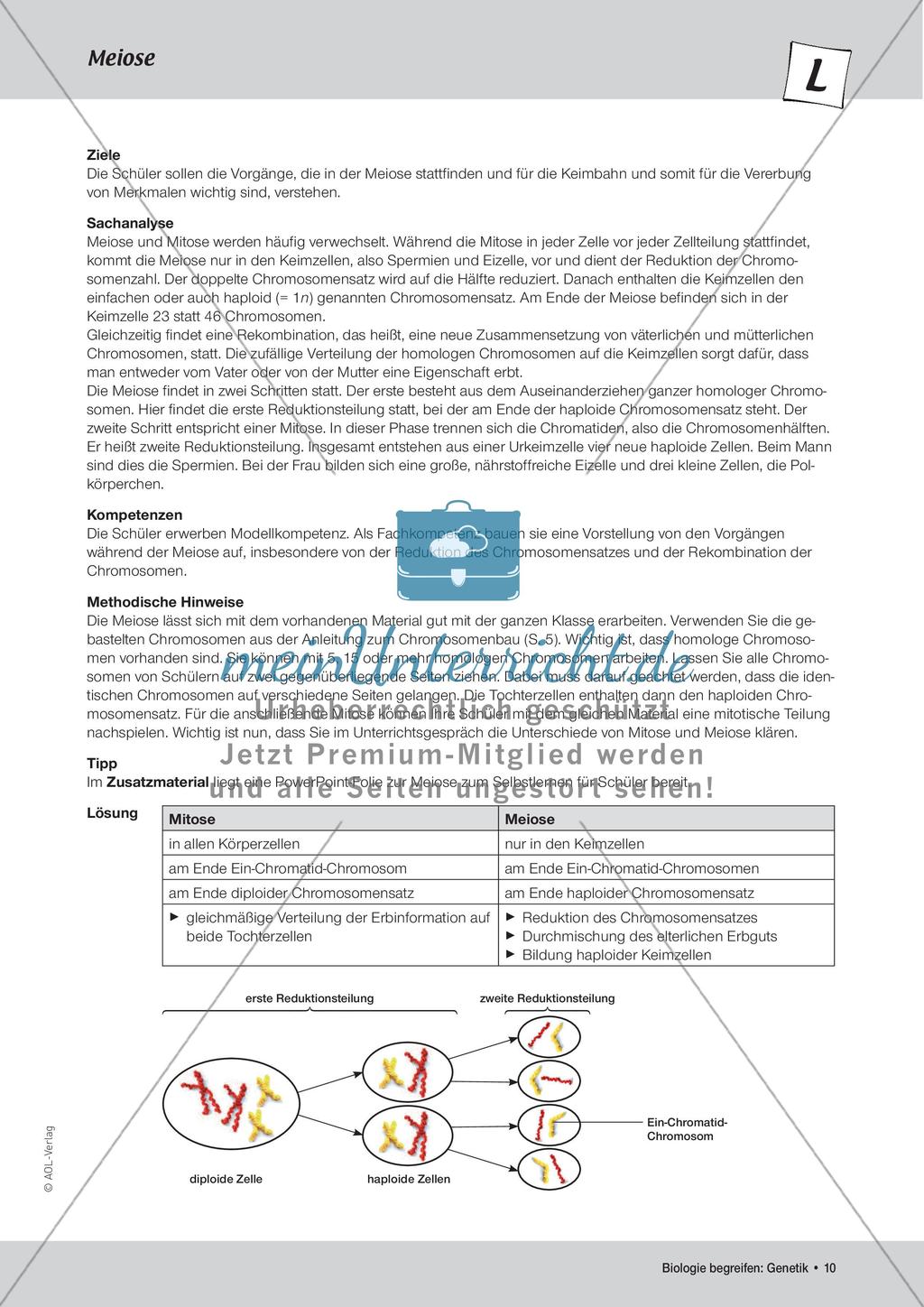 Genetik: Chromosomen Preview 12