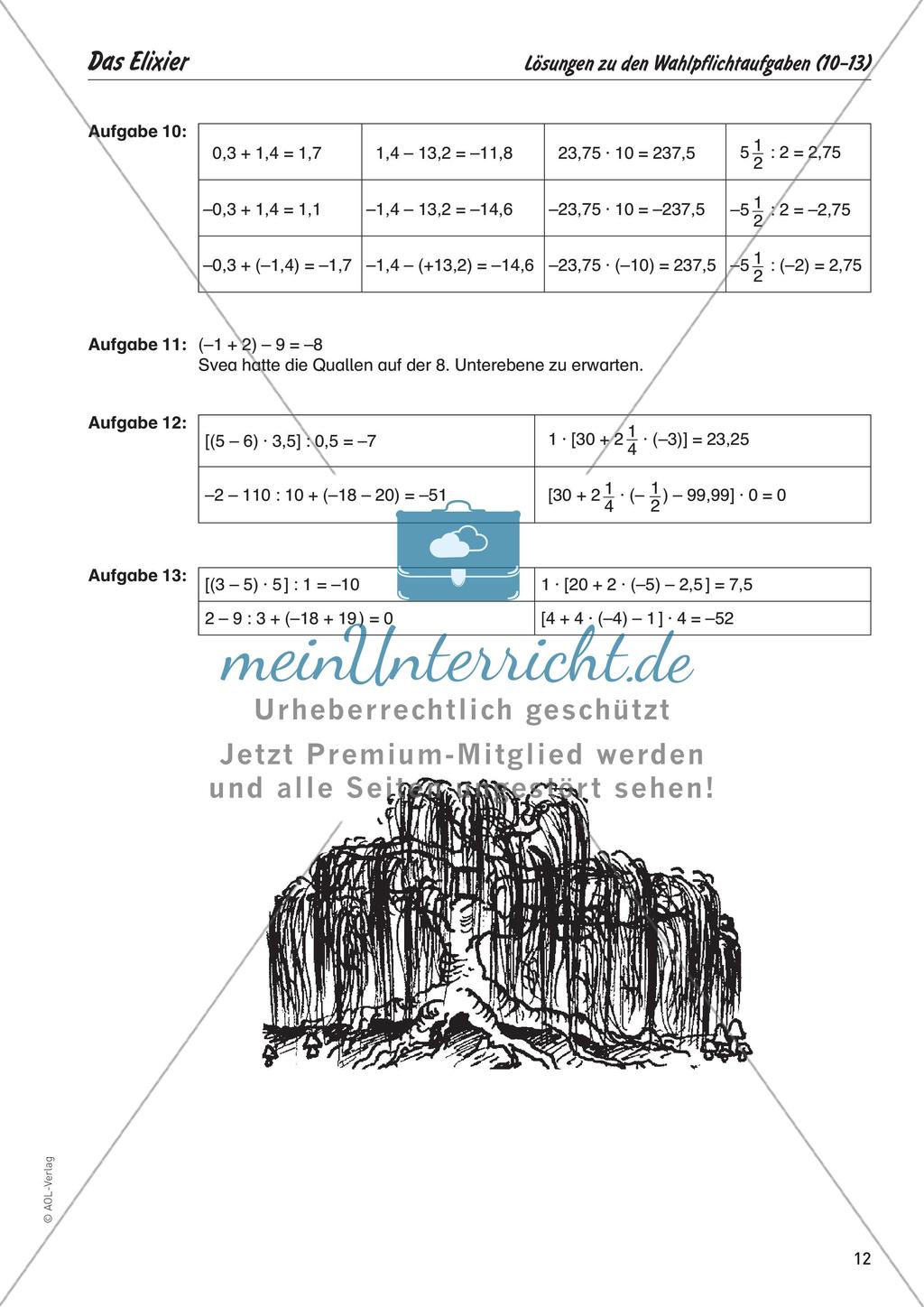 Mathe zum Mitfiebern: Das Elixier Preview 14