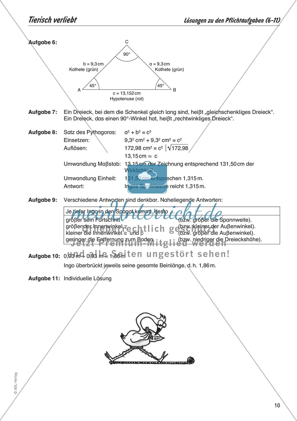 Mathe zum Mitfiebern: Tierisch verliebt Preview 12