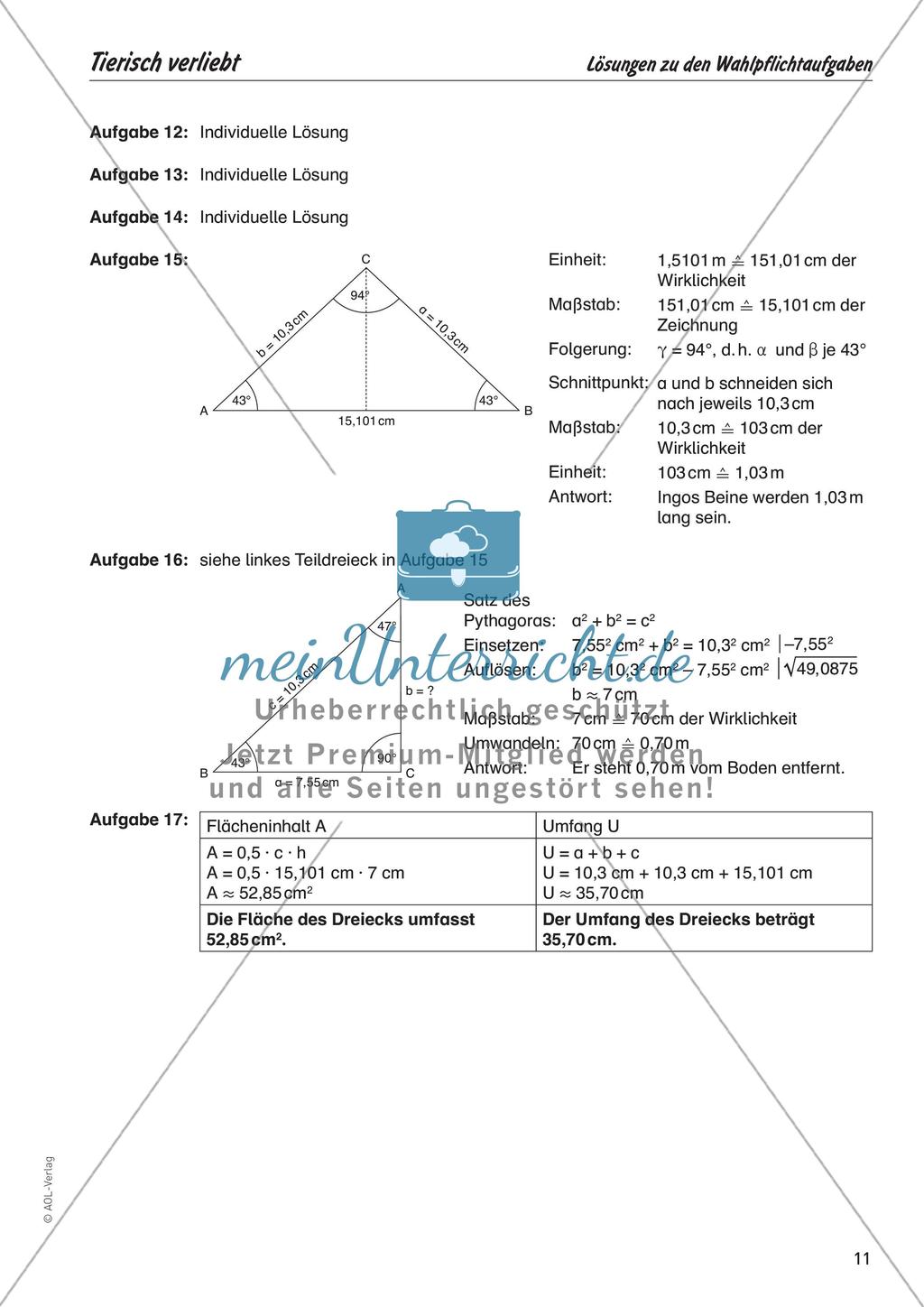 Mathe zum Mitfiebern: Tierisch verliebt Preview 13