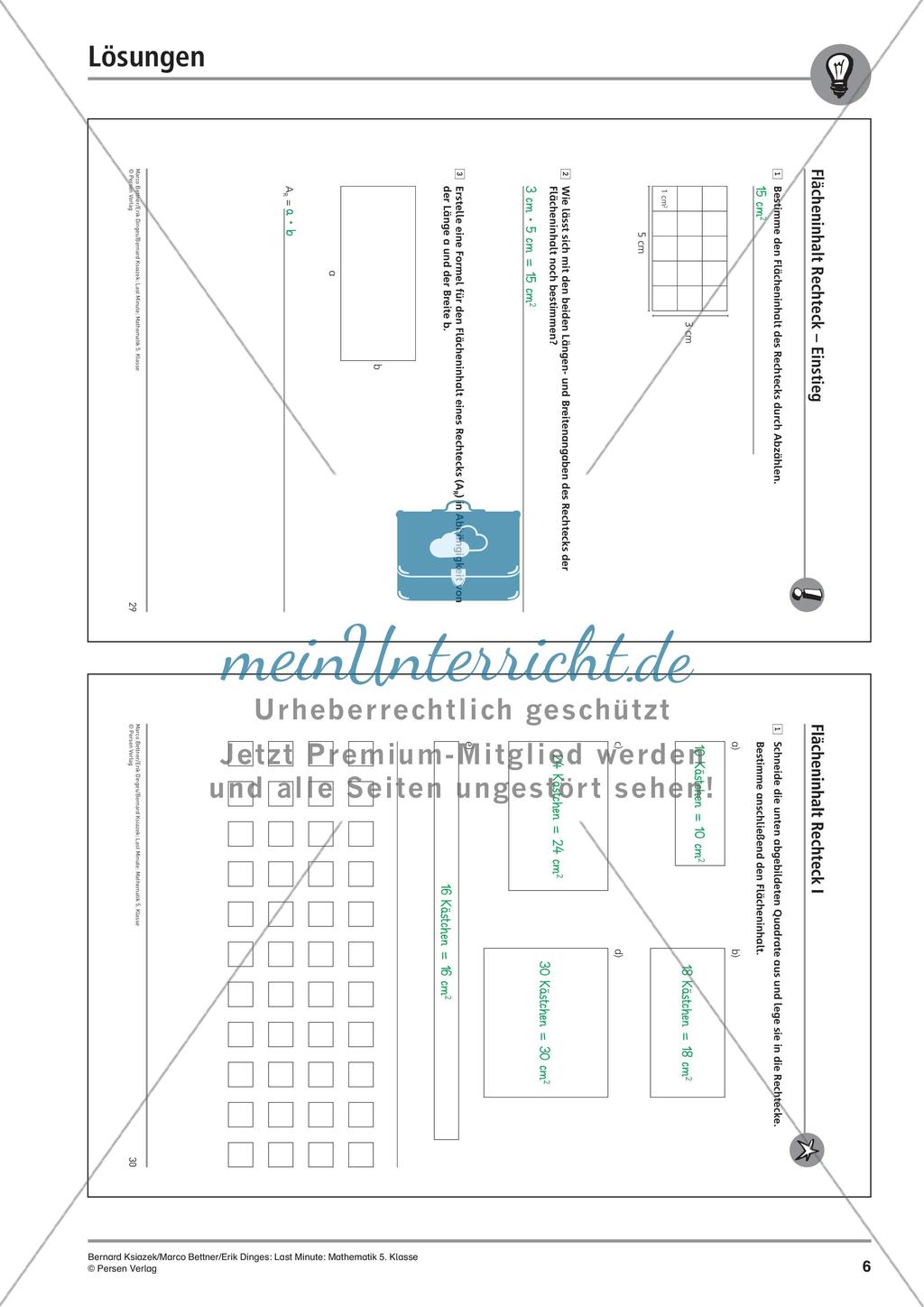 Last Minute: Flächeninhalt Rechteck Preview 8