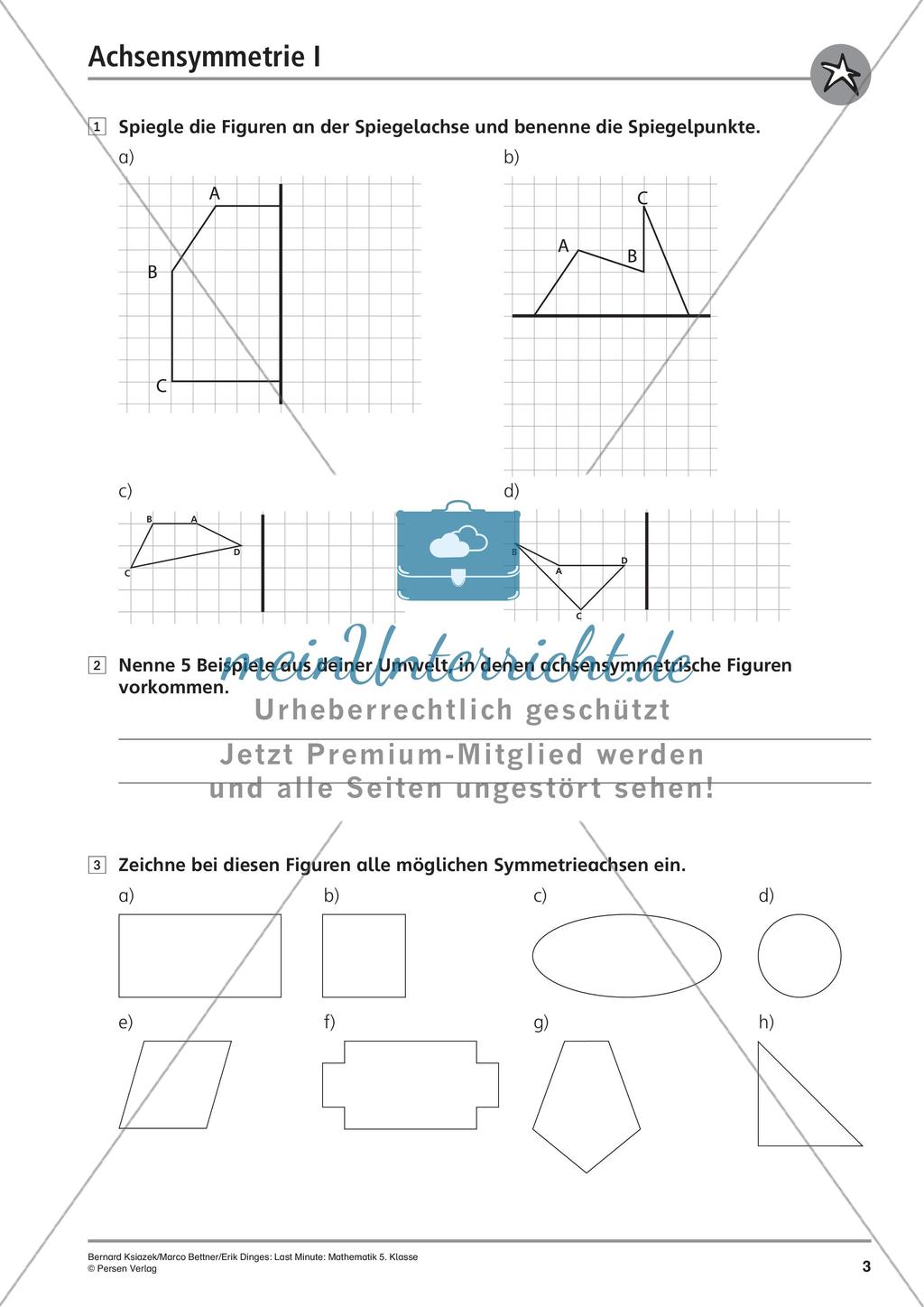 Die Achsensymmetrie Preview 5