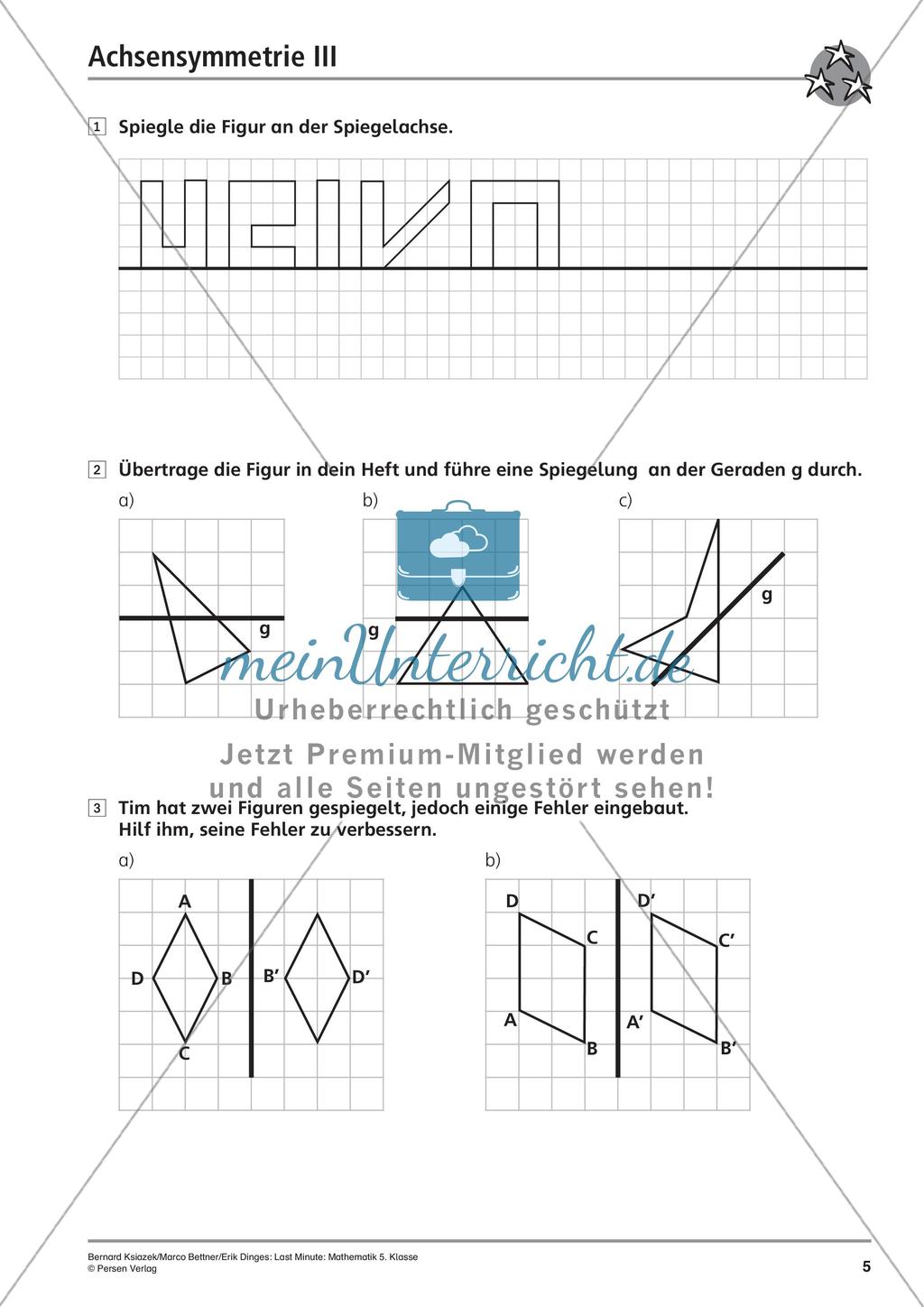 Die Achsensymmetrie Preview 7