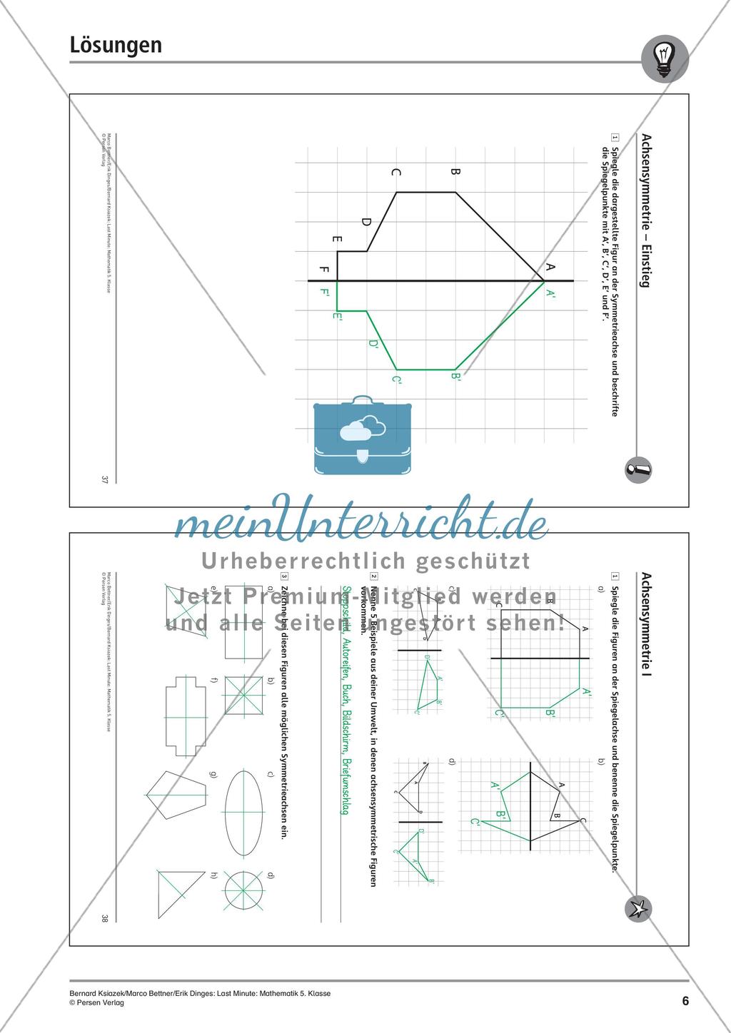 Die Achsensymmetrie Preview 8