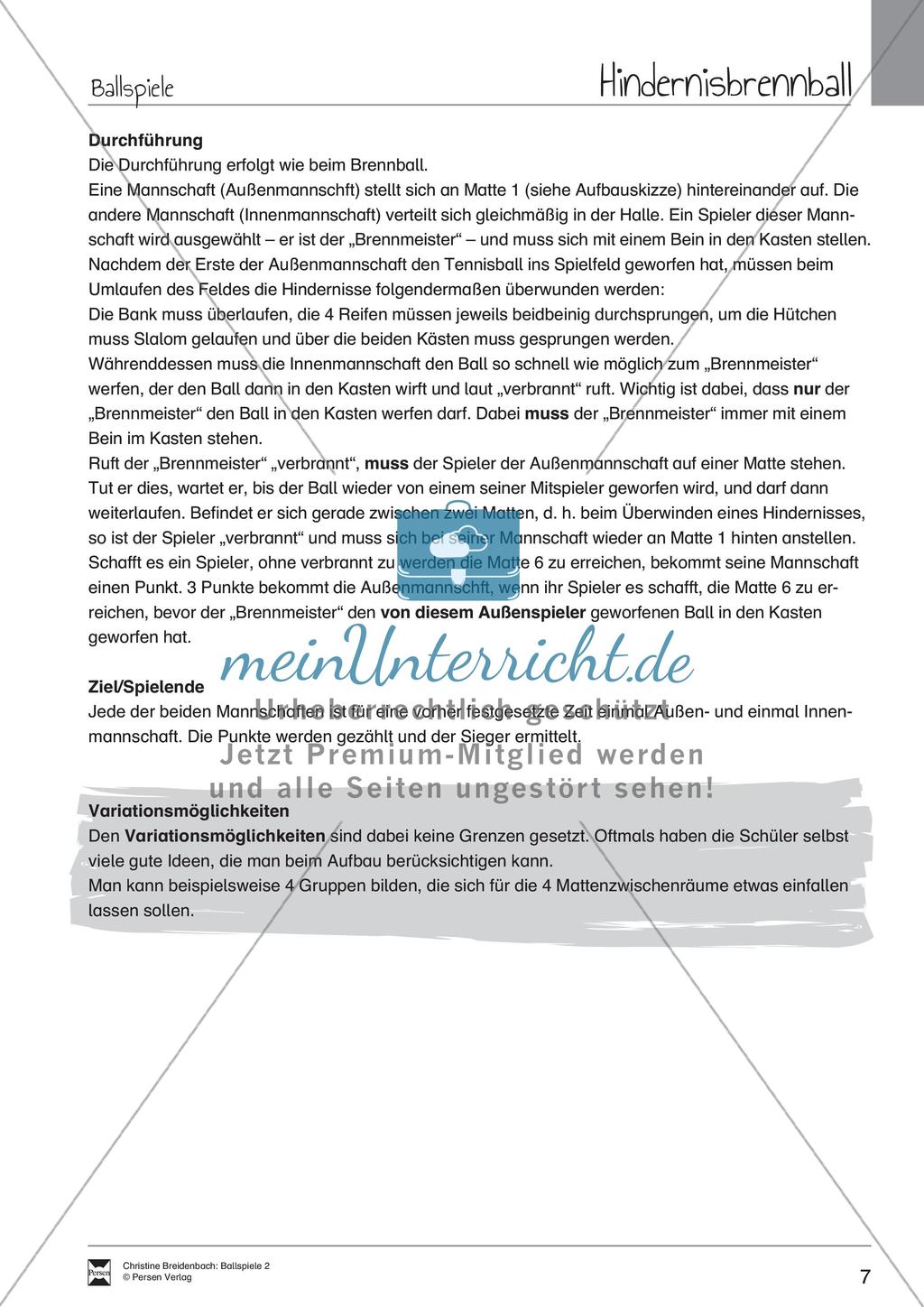 Mannschaftsballspiele Preview 7