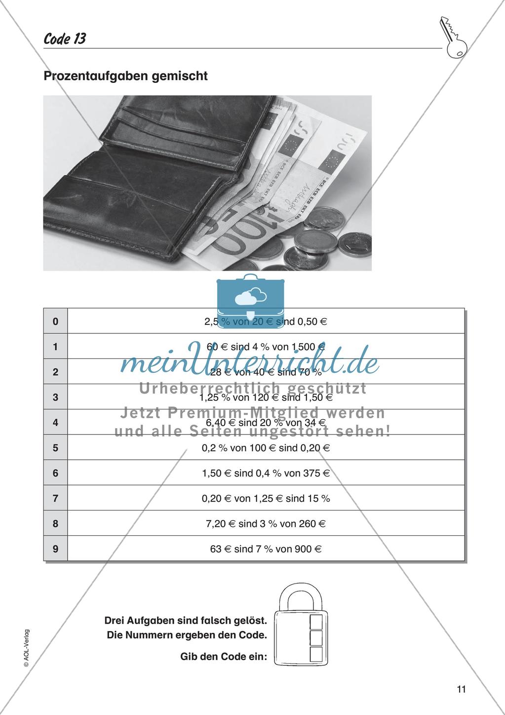 Codeknacker: Prozentrechnung Preview 13