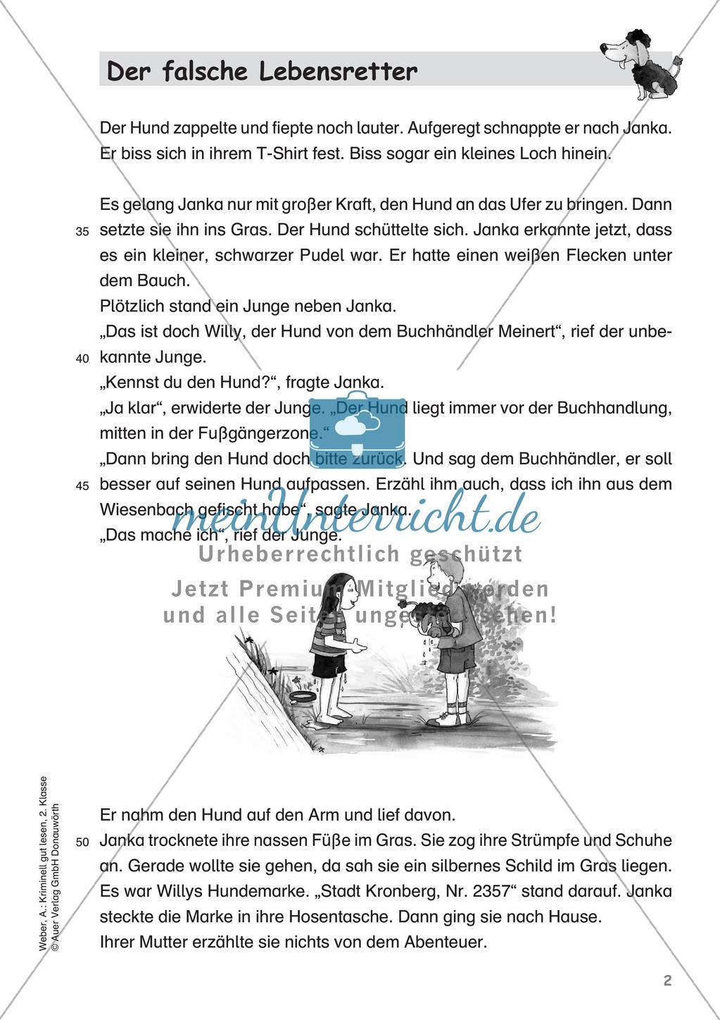 Lesekrimi: Der falsche Lebensretter Preview 4