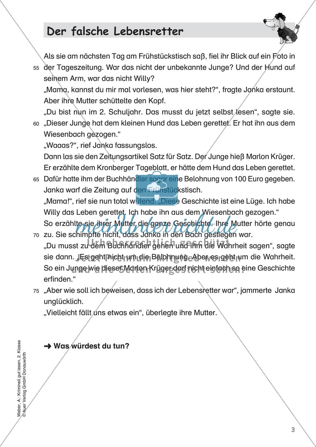 Lesekrimi: Der falsche Lebensretter Preview 5