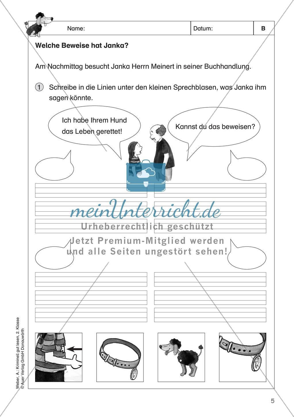 Lesekrimi: Der falsche Lebensretter Preview 7