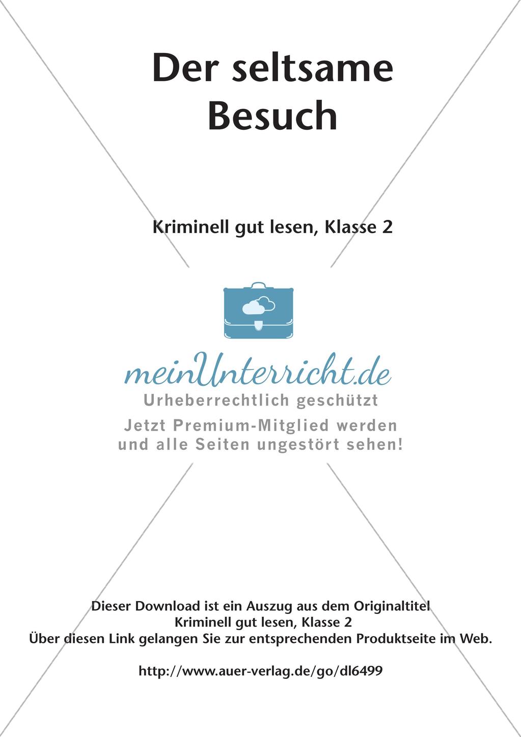 Lesekrimi: Der seltsame Besuch Preview 2