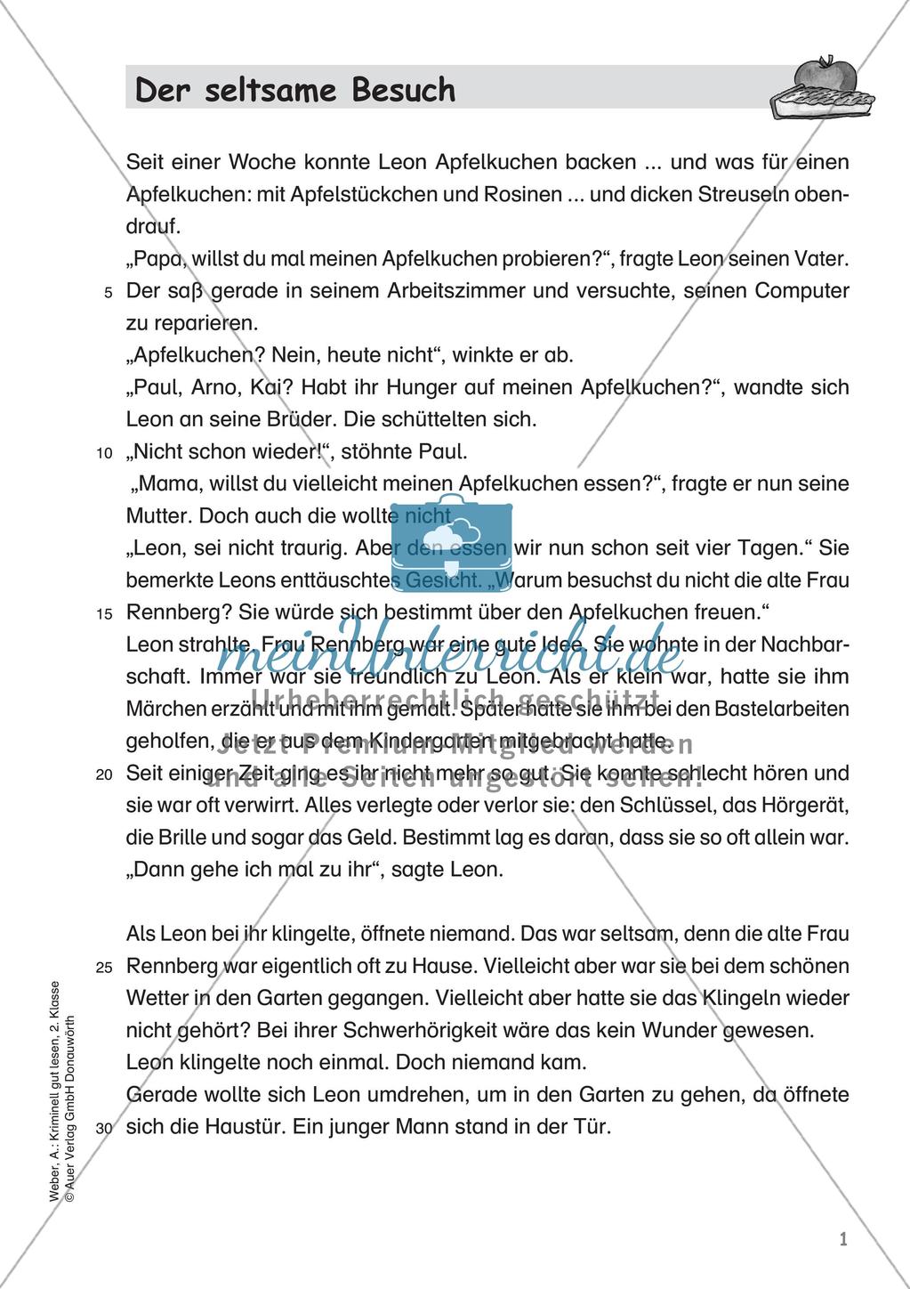 Lesekrimi: Der seltsame Besuch Preview 3